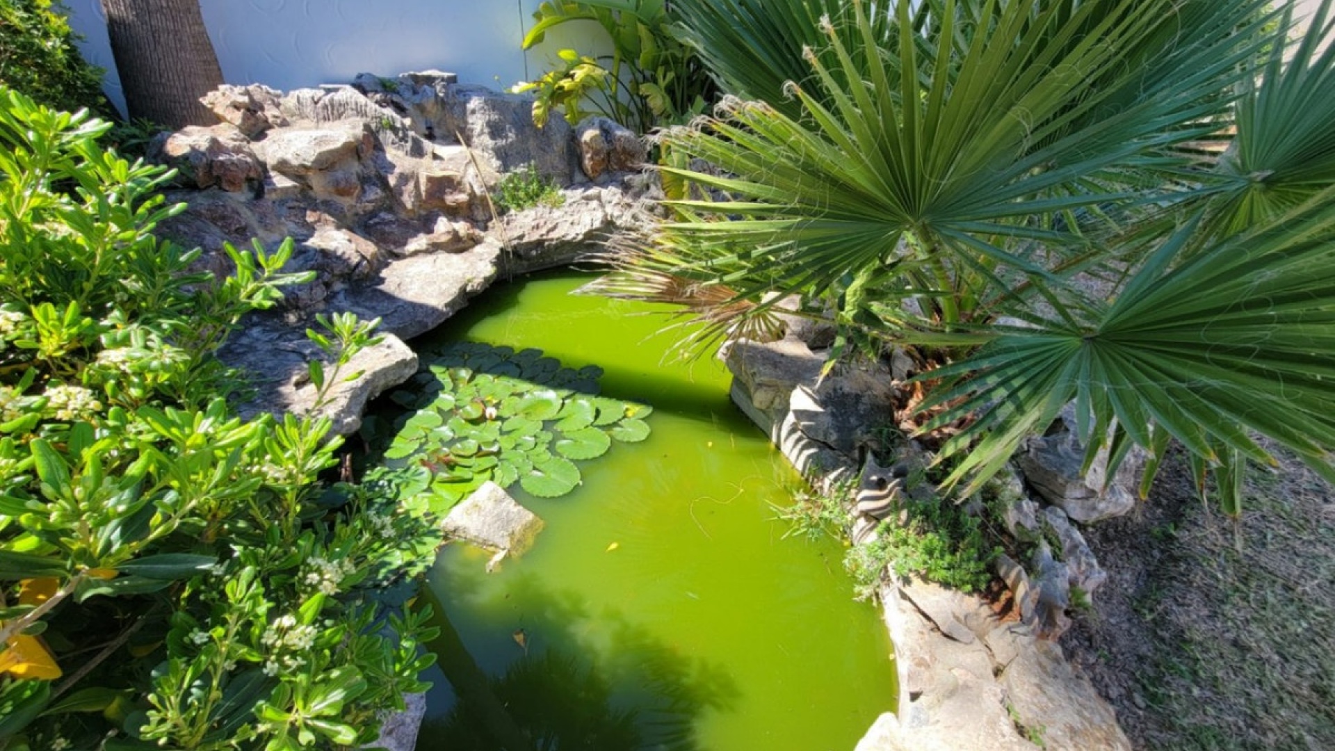 Wederverkoop - Villa - Teulada - Moraira