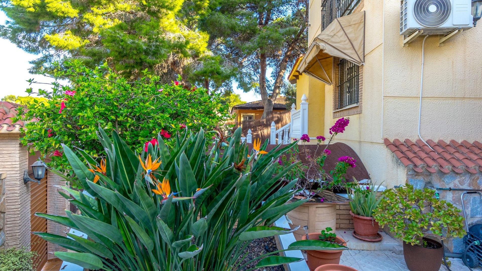 Wederverkoop - Villa - Torrevieja - Los balcones