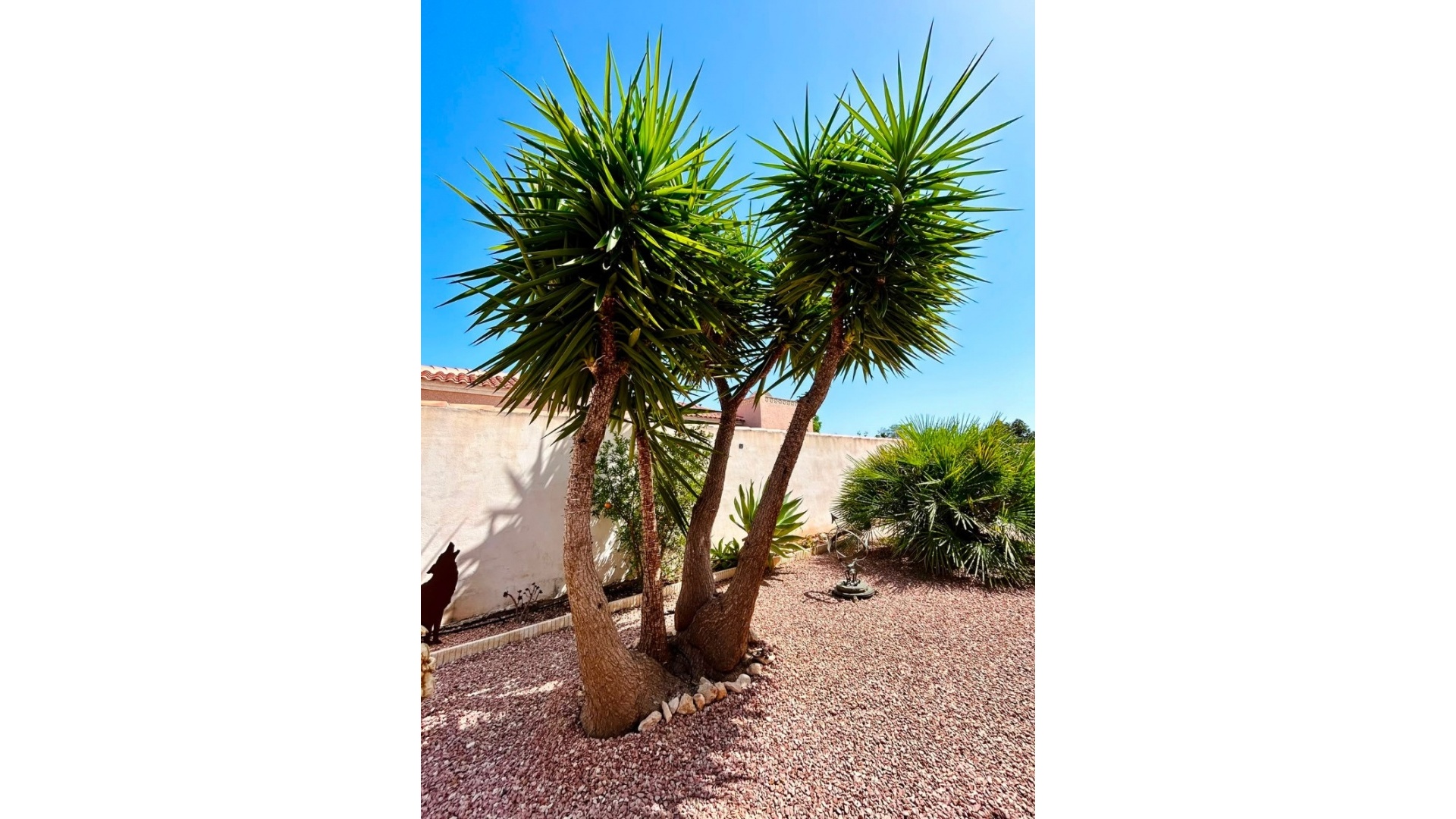 Wederverkoop - Villa - Torrevieja - san luis