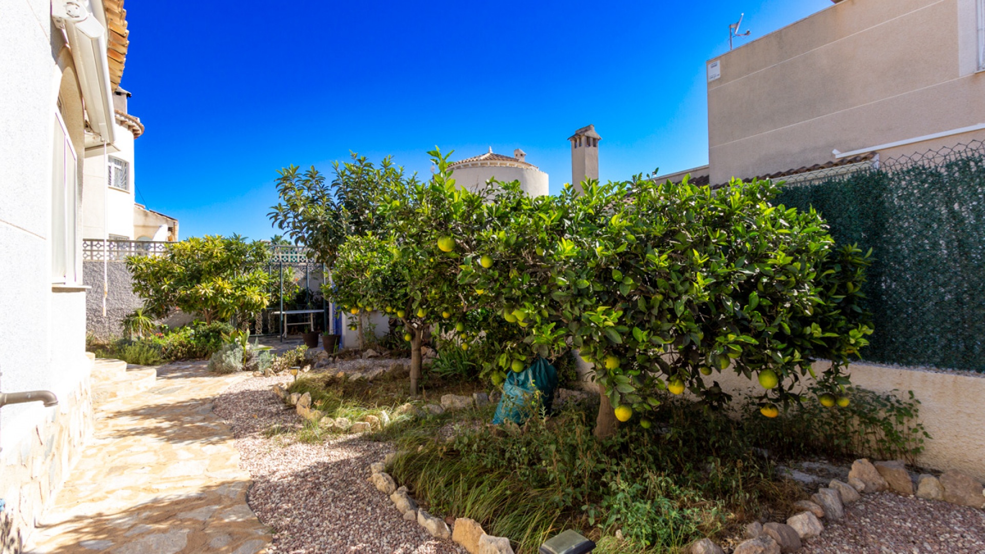 Wederverkoop - Villa - Torrevieja - san luis