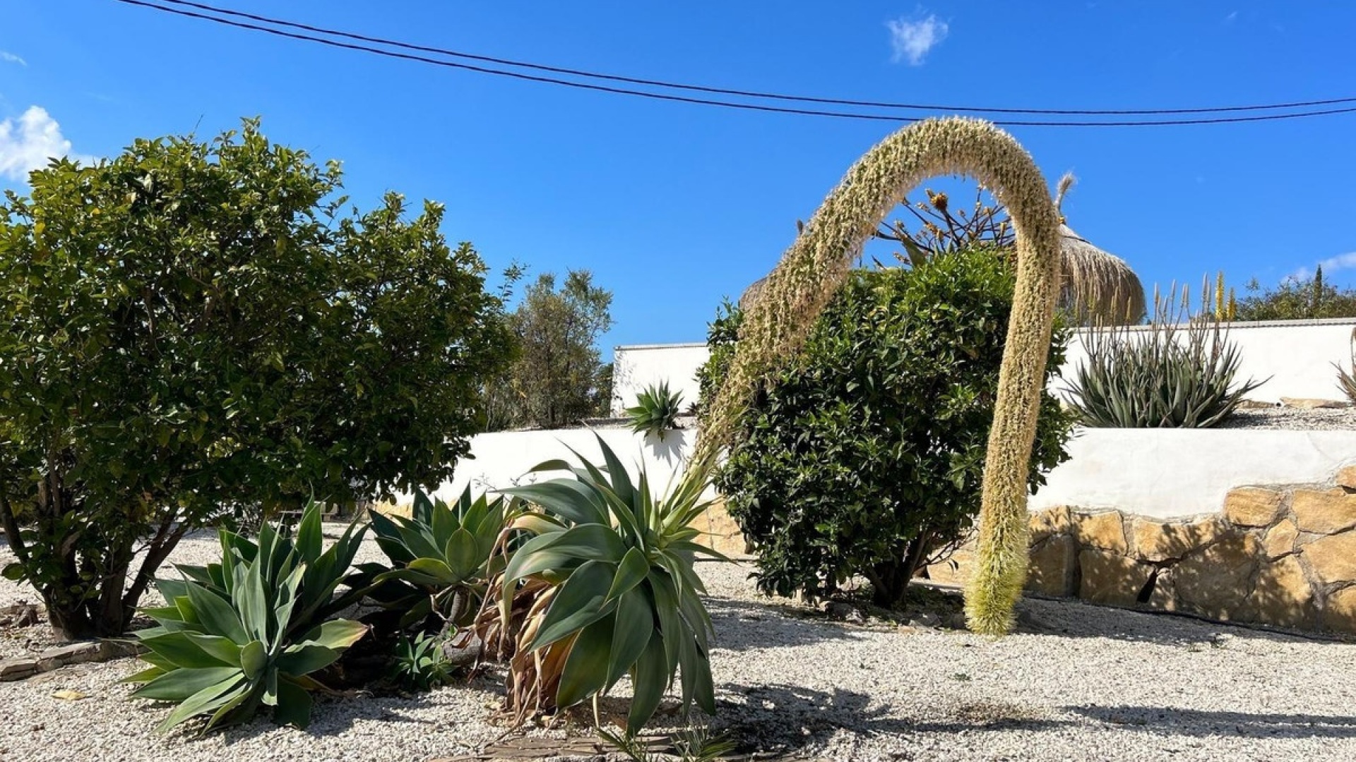 Wederverkoop - Villa - Villajoyosa - Villajoyosa Centro