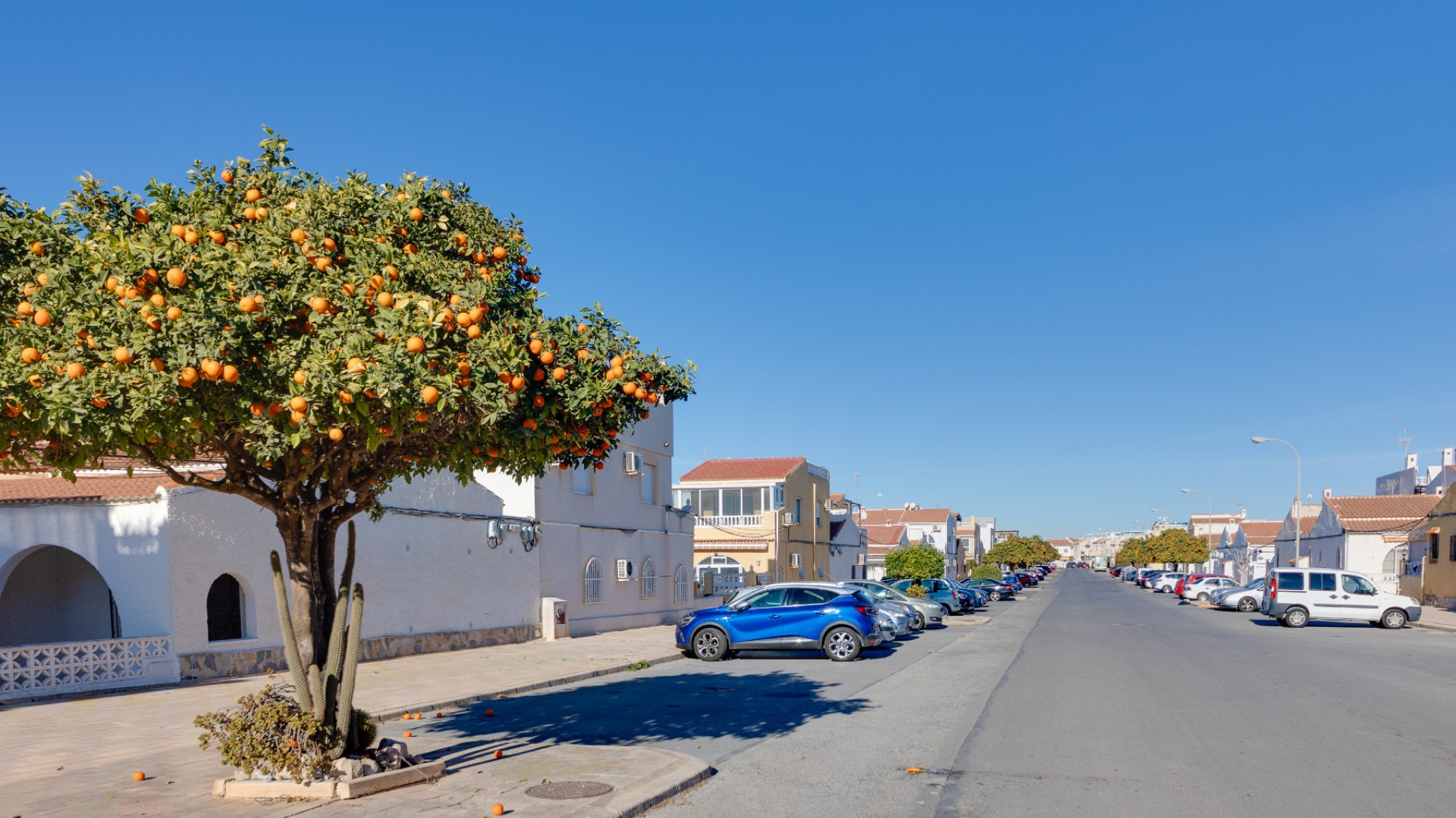 Wiederverkauf - Bungalow - Torrevieja - la siesta