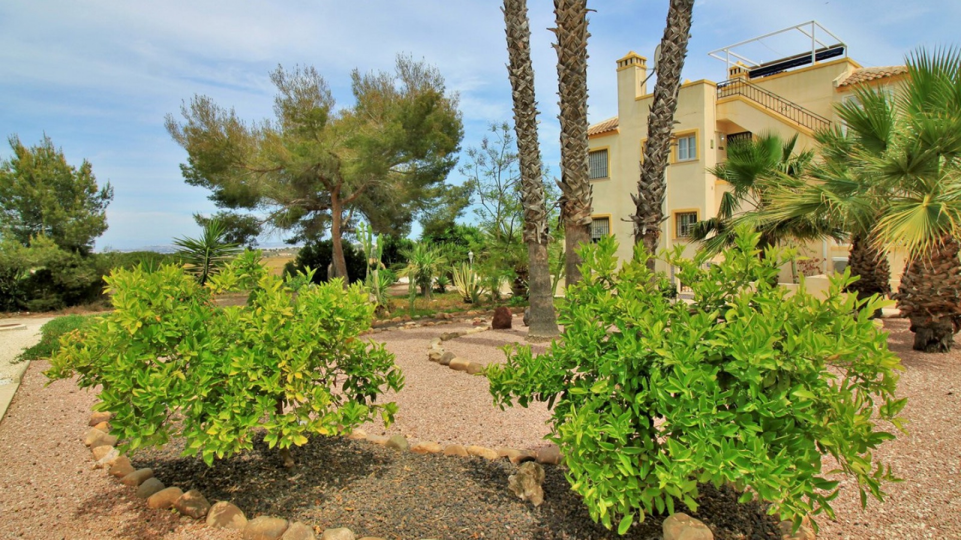 Wiederverkauf - Bungalow - Villamartin - valencia norte