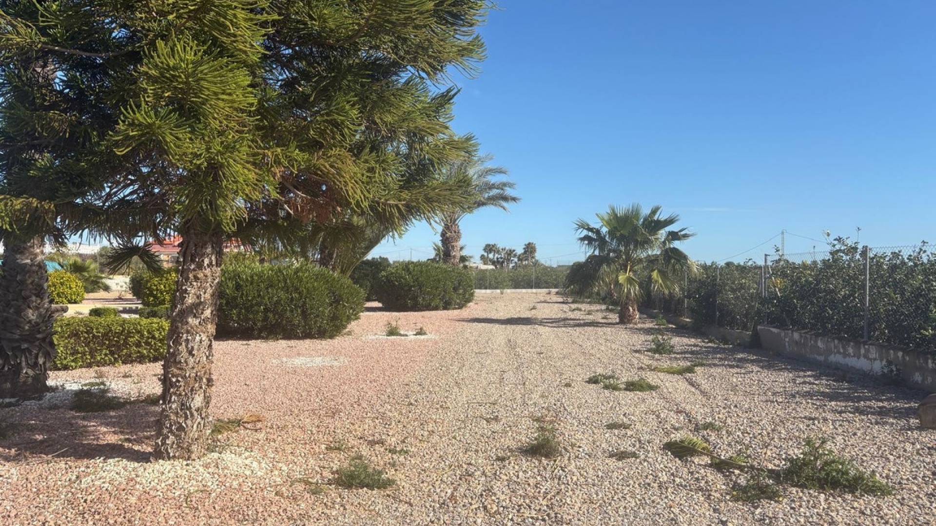 Wiederverkauf - Country Property - Albatera - Albatera Centro