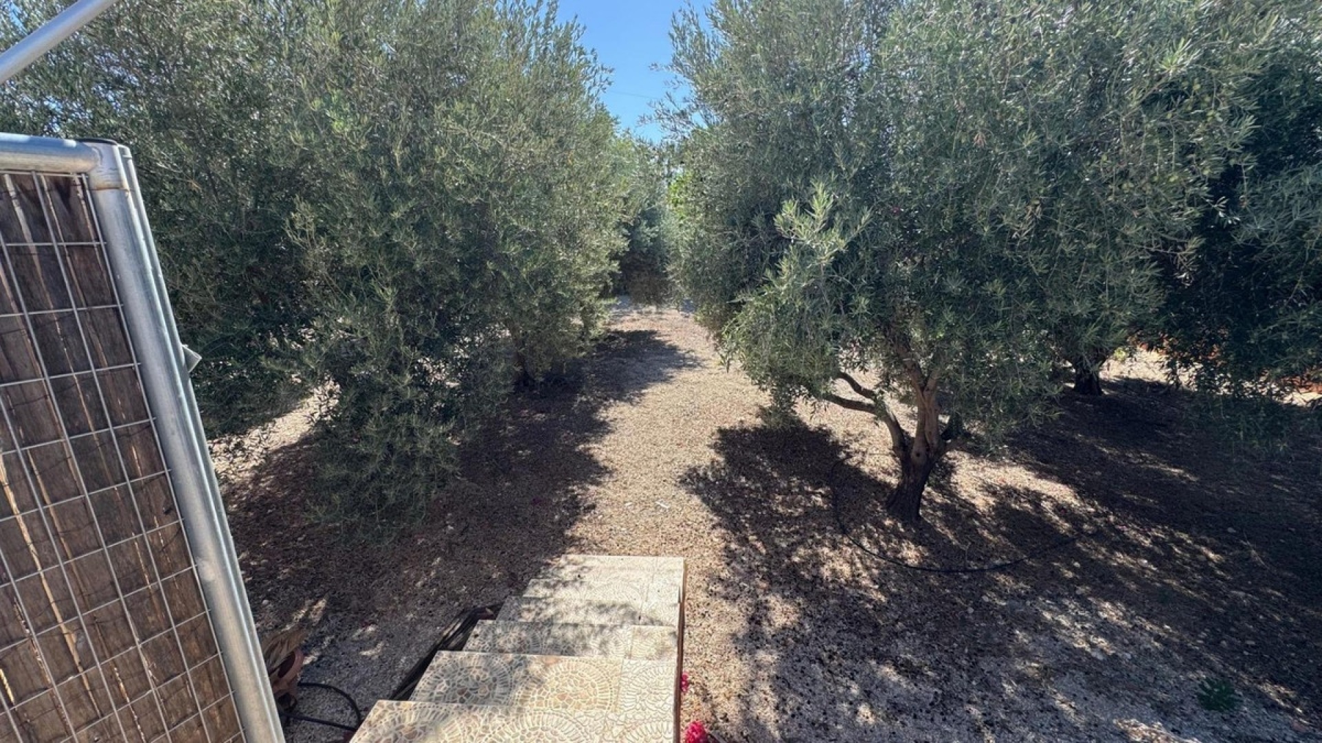 Wiederverkauf - Country Property - Albatera - Albatera Centro