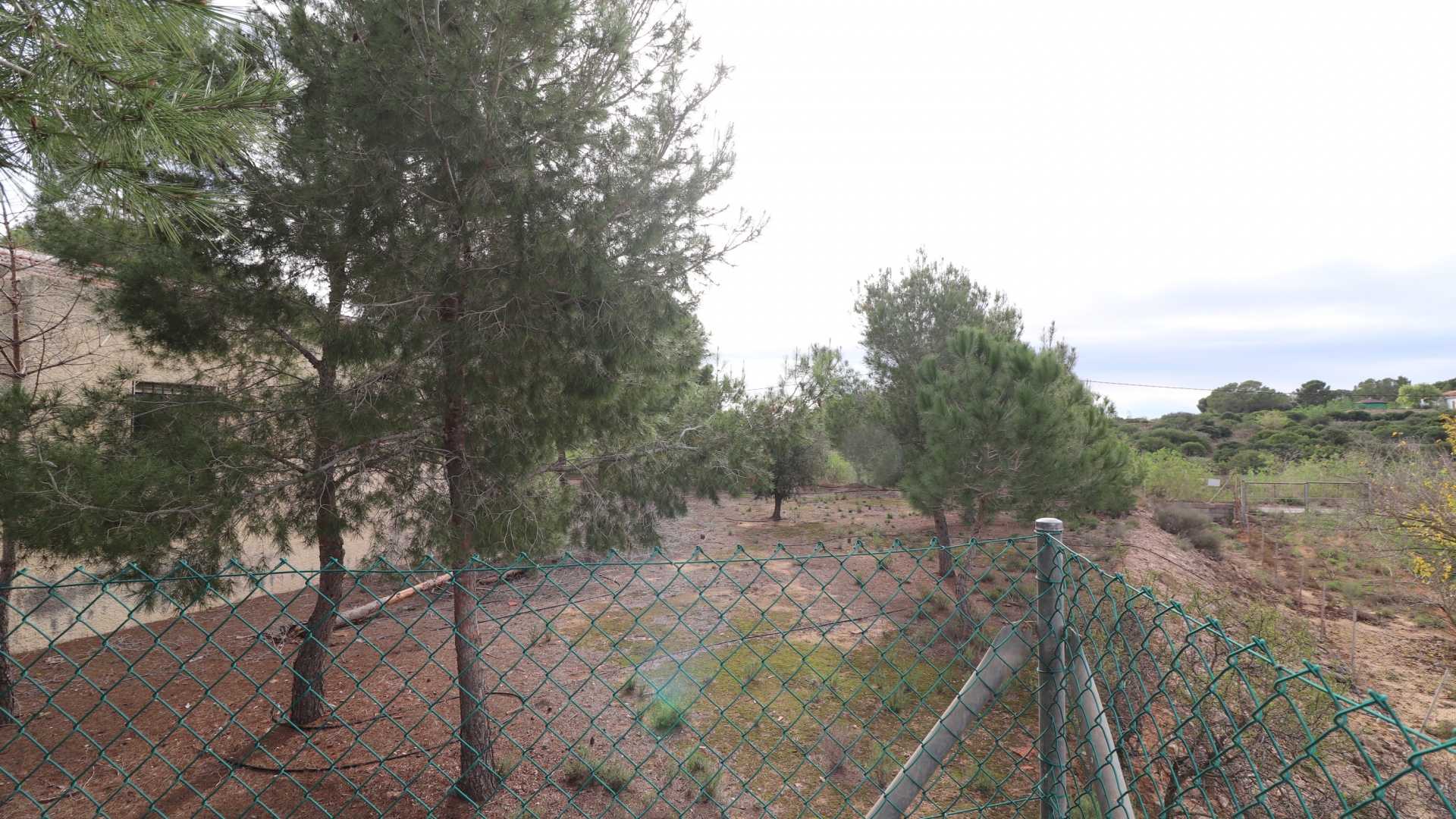 Wiederverkauf - Country Property - Algorfa - Algorfa - Country