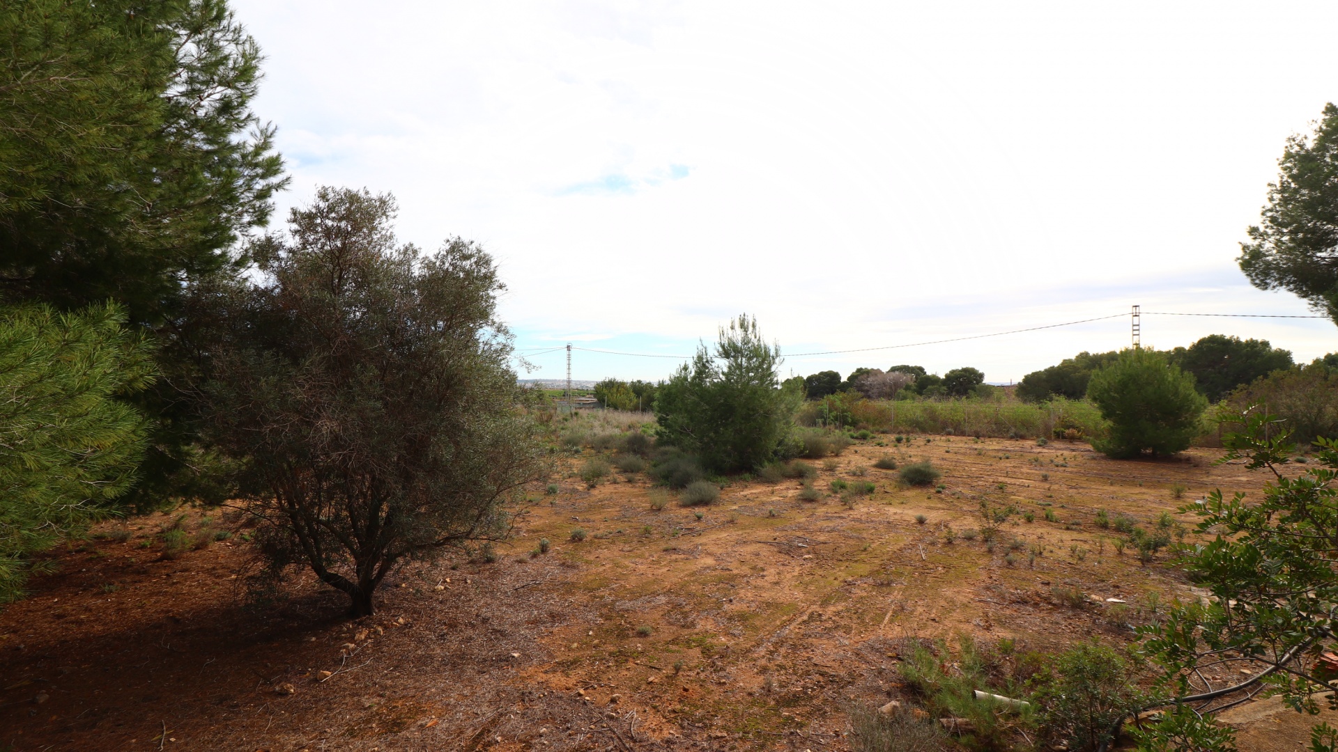 Wiederverkauf - Country Property - Algorfa - Algorfa - Country