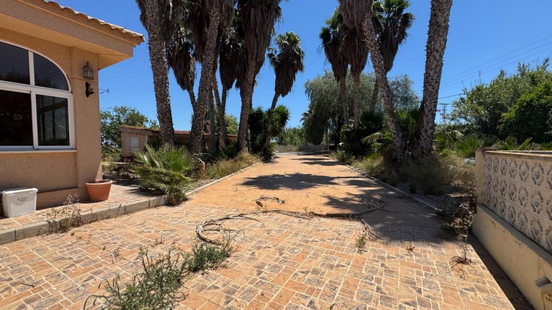 Wiederverkauf - Country Property - Dolores - Dolores Centro