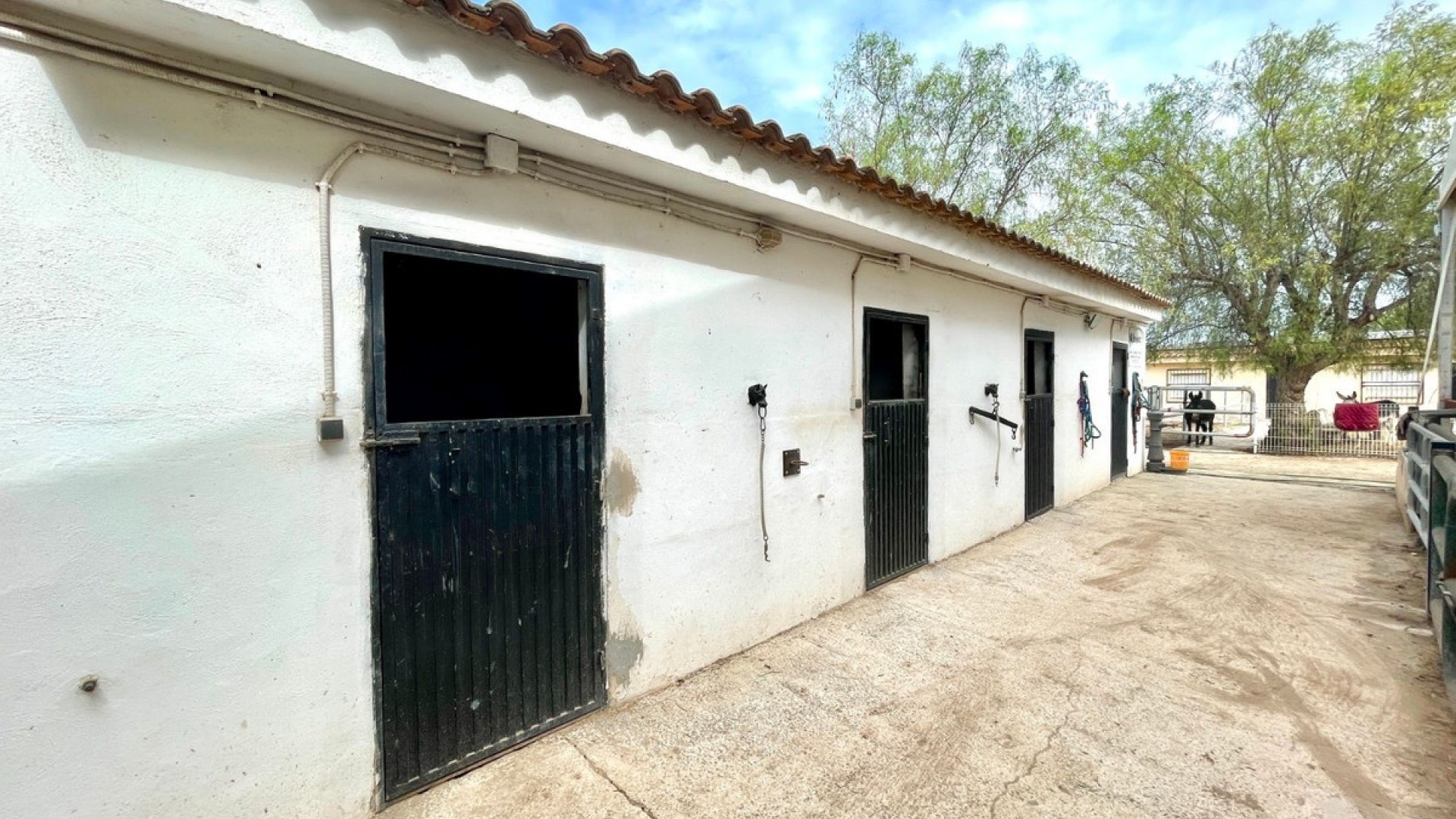 Wiederverkauf - Country Property - Orihuela - Orihuela Centro