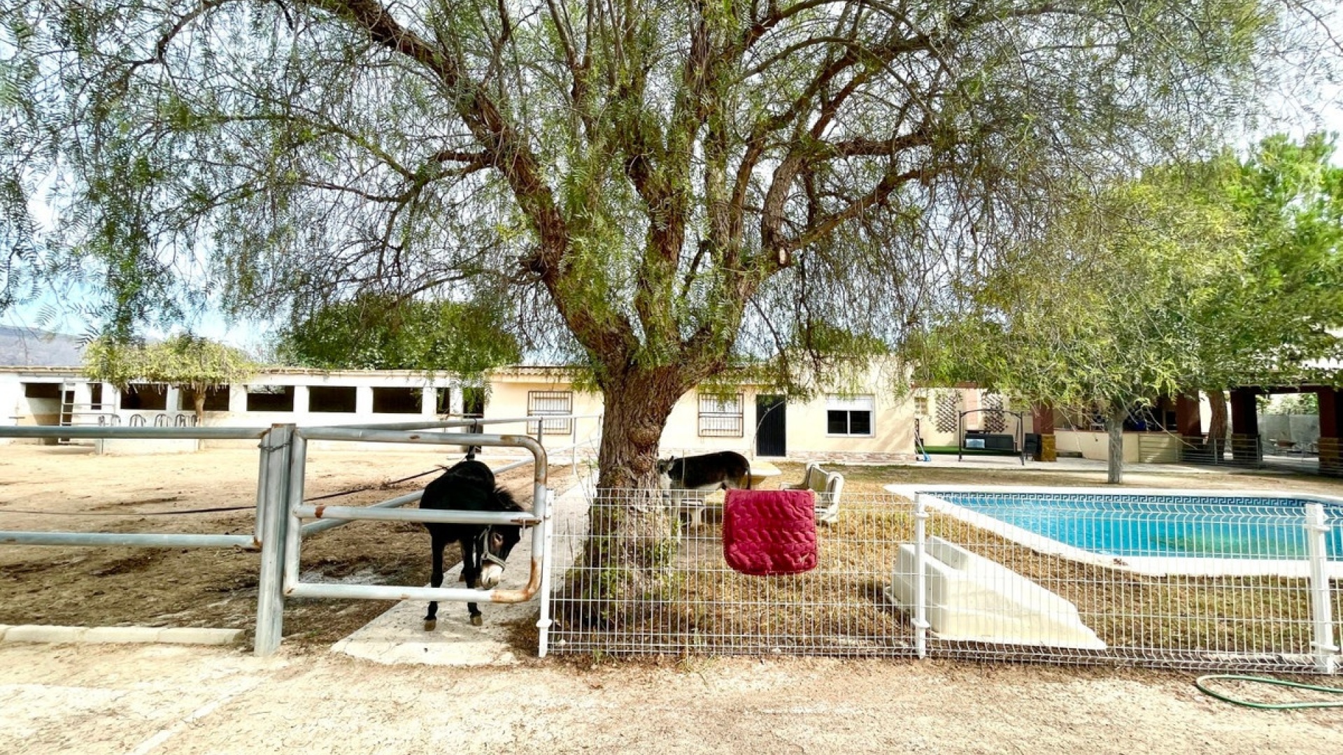 Wiederverkauf - Country Property - Orihuela - Orihuela Centro