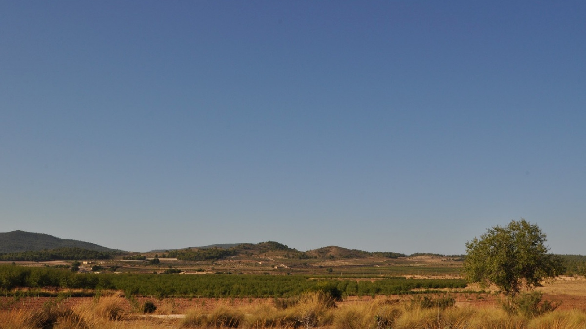 Wiederverkauf - Country Property - Pinoso - Pinoso Centro