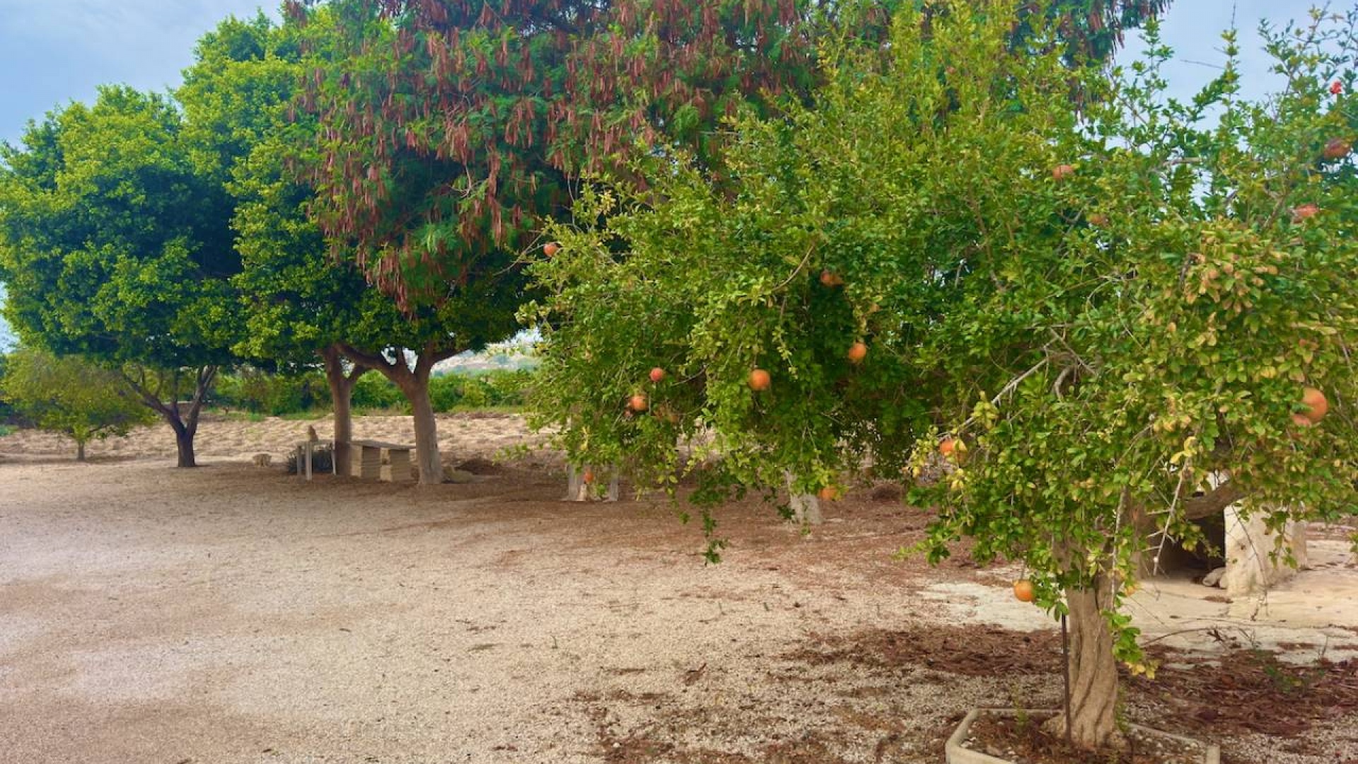 Wiederverkauf - Country Property - Rojales - Cuidad Quesada