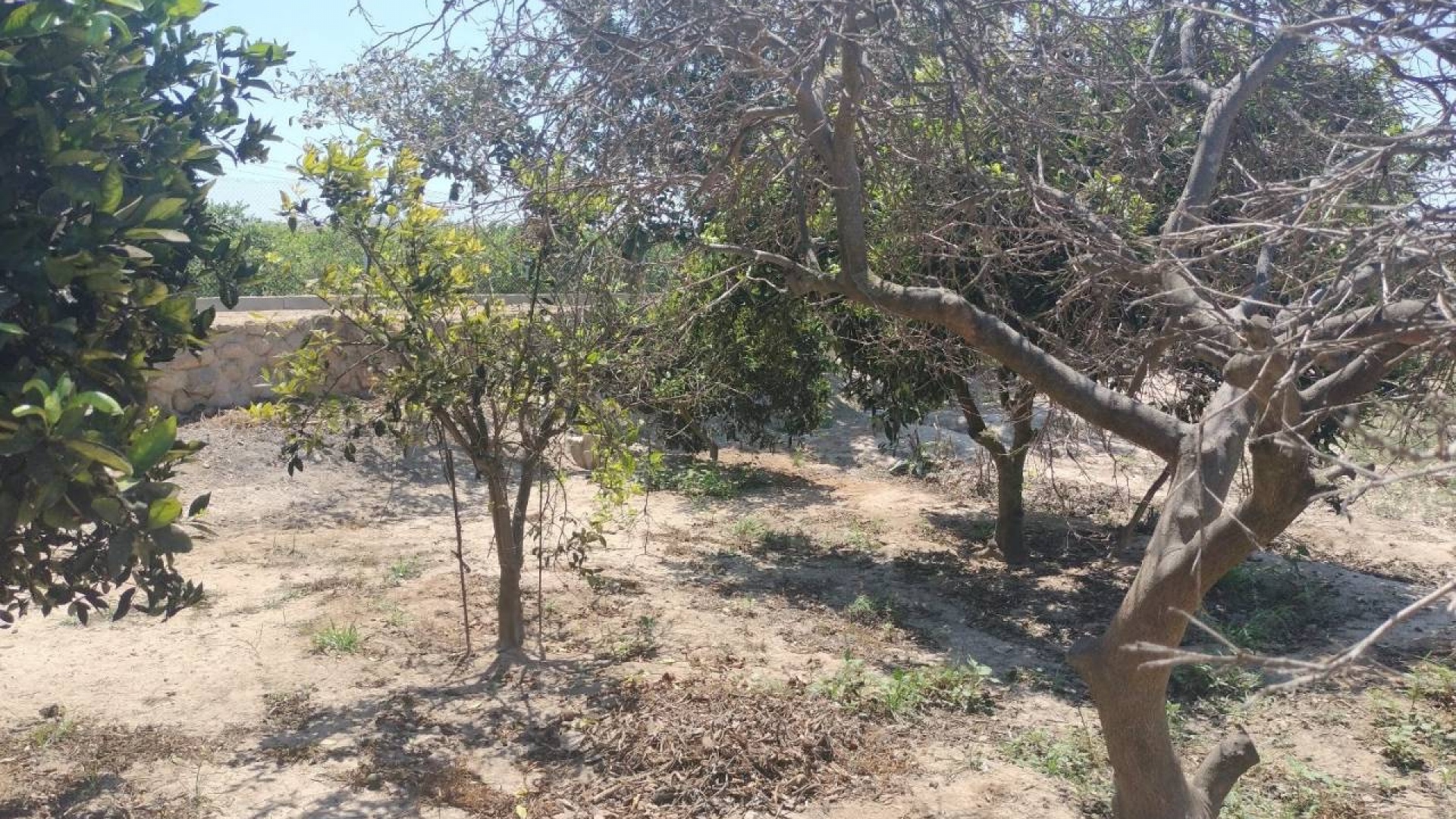 Wiederverkauf - Country Property - Rojales - Cuidad Quesada