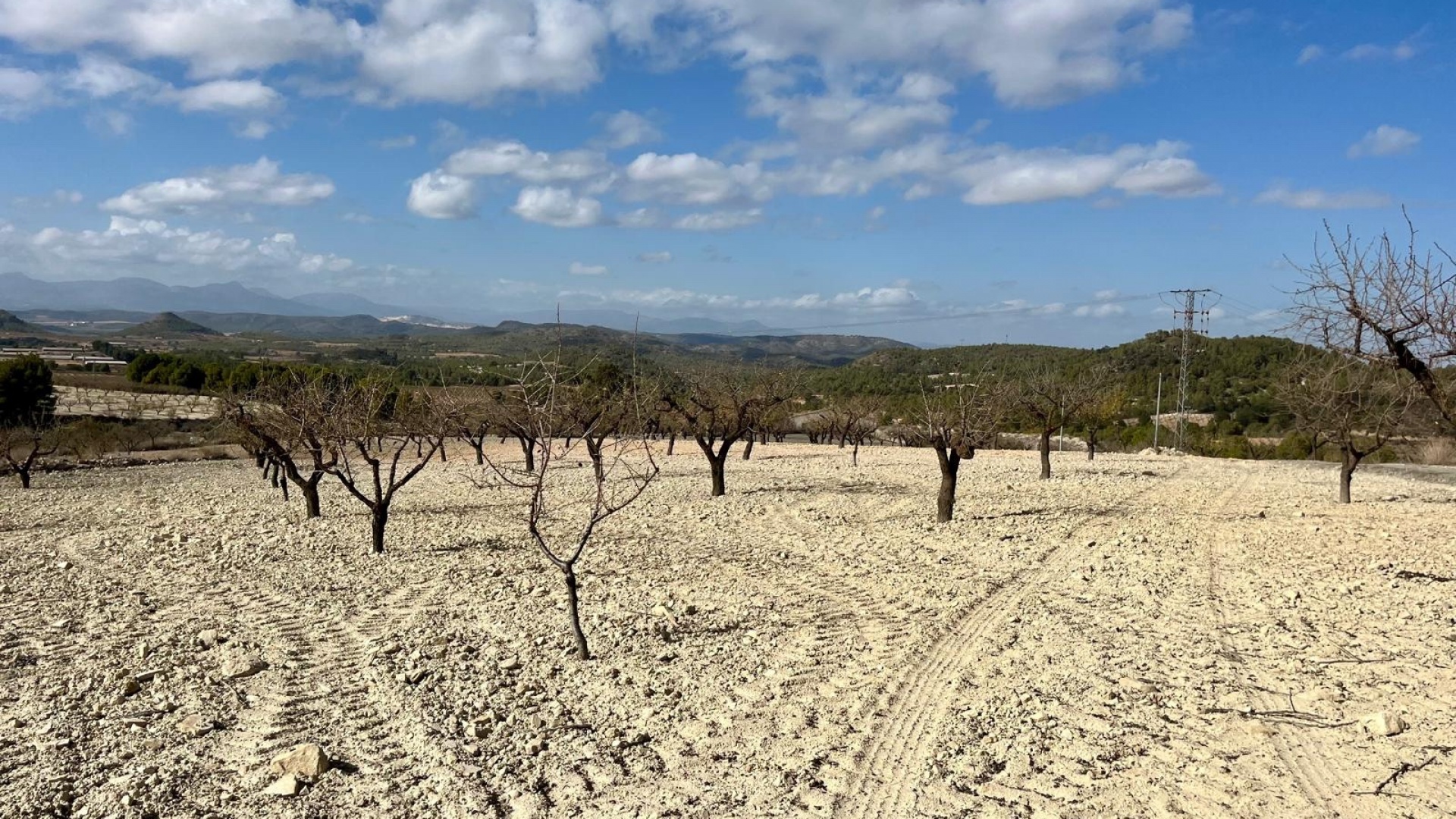 Wiederverkauf - Handlung - Bullas - Costa Calida