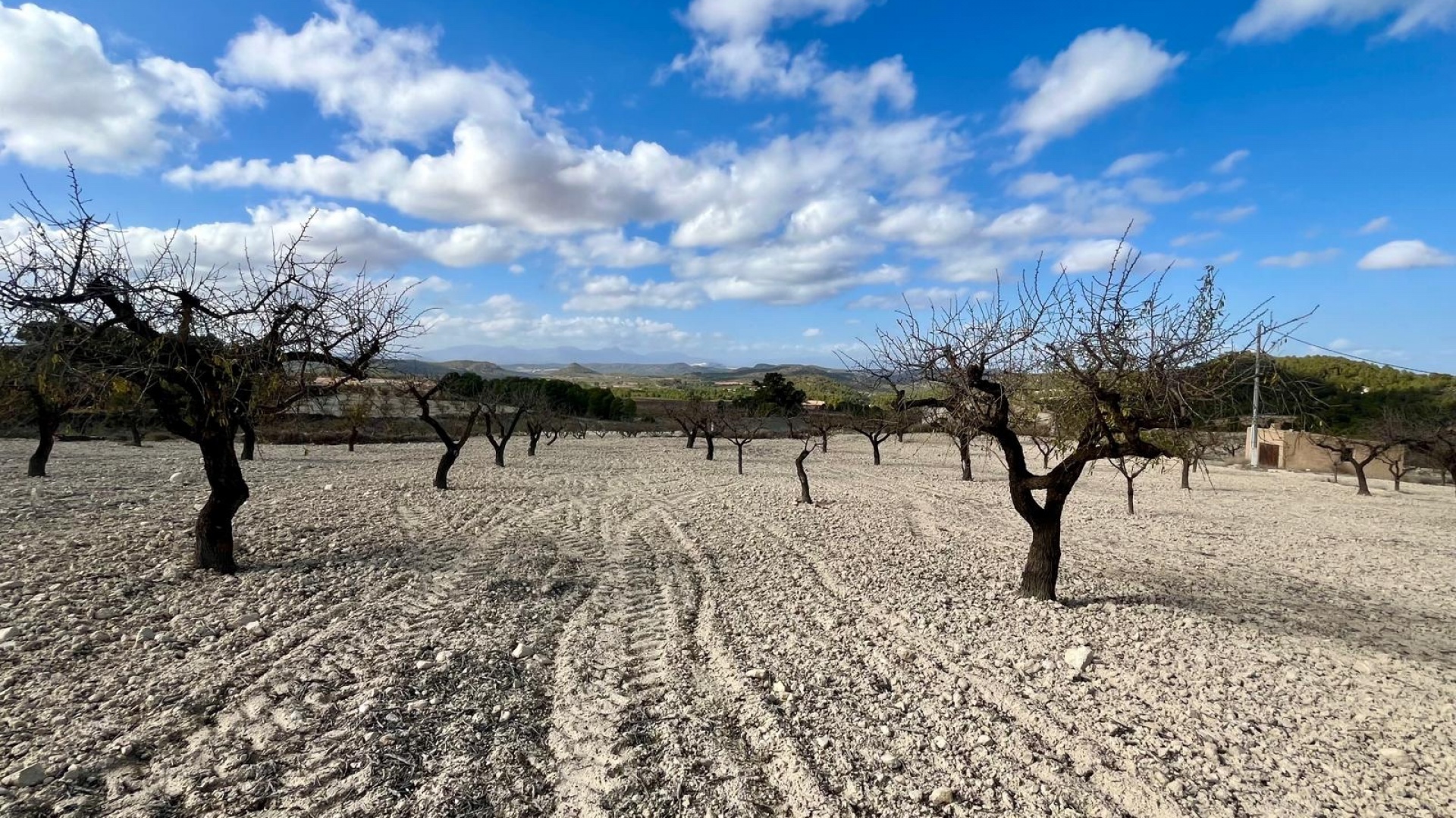 Wiederverkauf - Handlung - Bullas - Costa Calida