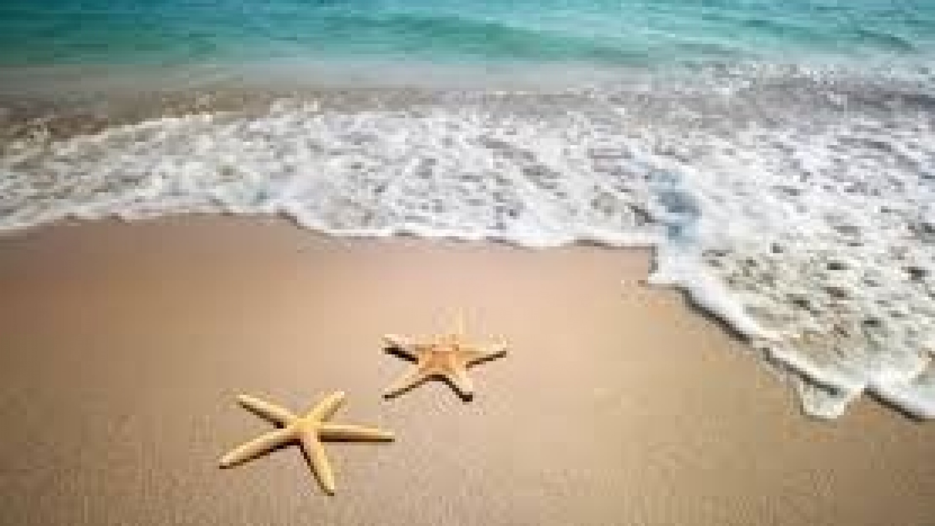 Wiederverkauf - Hotel - Murcia