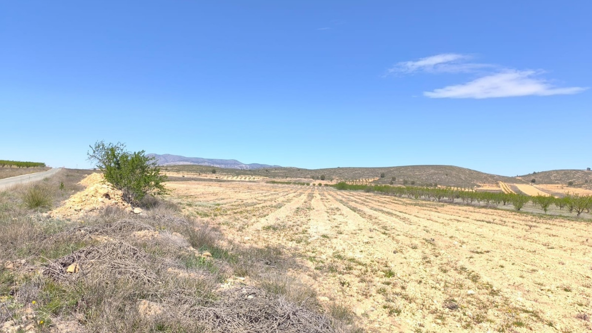 Wiederverkauf - Land - Abanilla - Cañada de la Leña