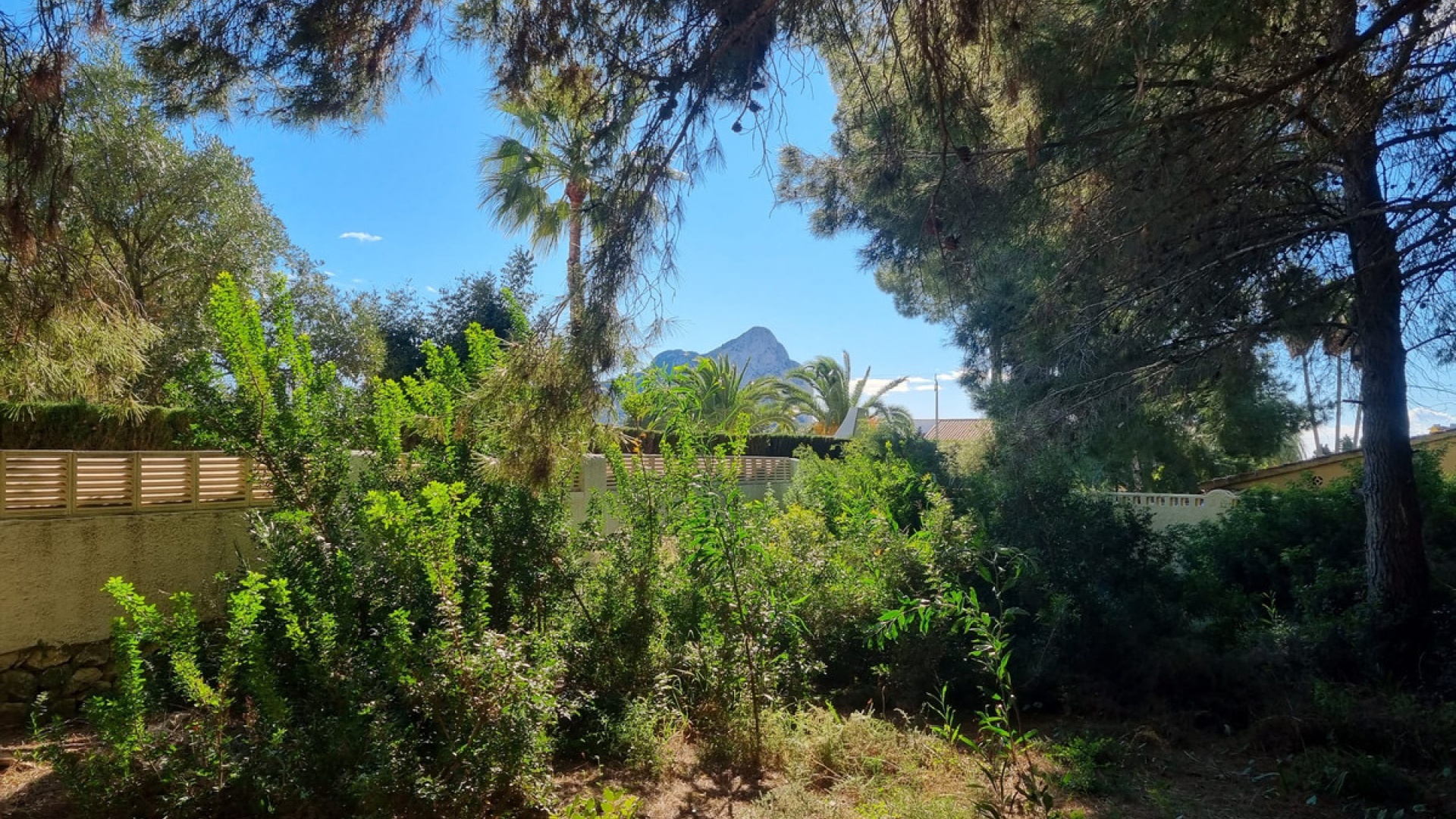 Wiederverkauf - Land - Calpe - Calpe Centro