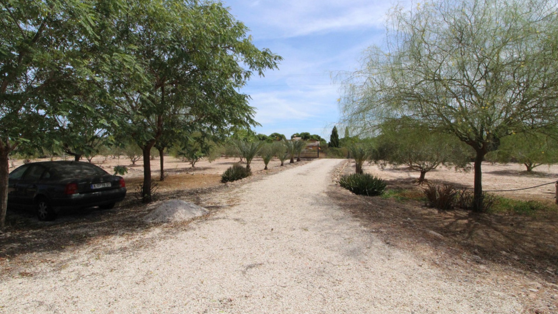 Wiederverkauf - Land - Elche - Elche Centro