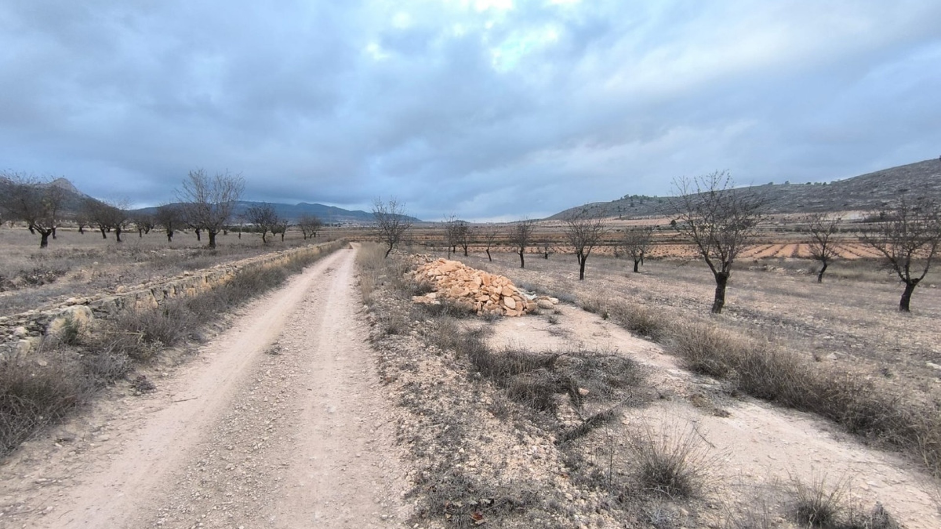 Wiederverkauf - Land - Jalon - La Solana