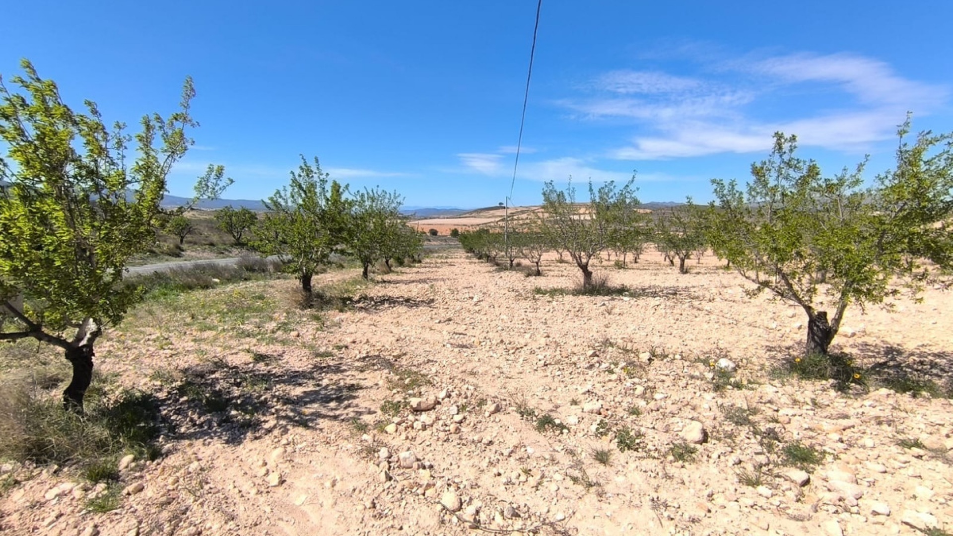 Wiederverkauf - Land - Jumilla - Jumilla Centro
