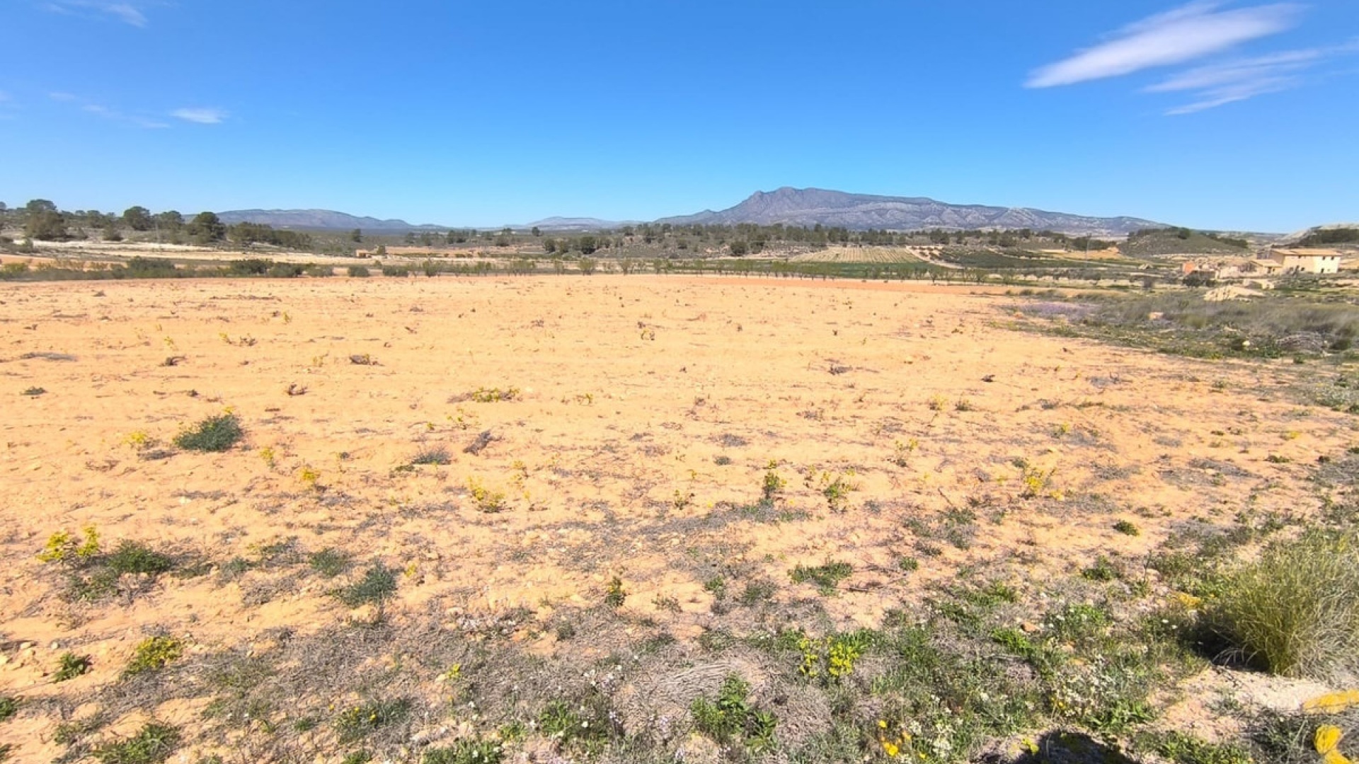 Wiederverkauf - Land - Jumilla - La Zarza