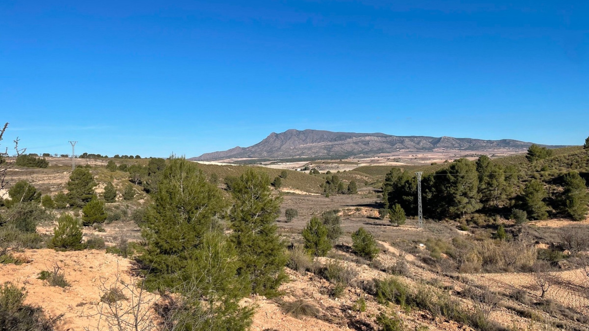 Wiederverkauf - Land - Jumilla - La Zarza