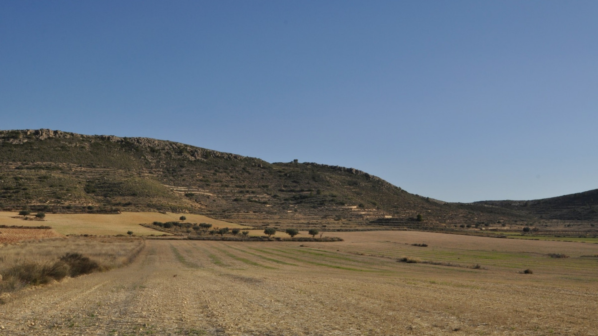 Wiederverkauf - Land - Jumilla - Torre del Rico