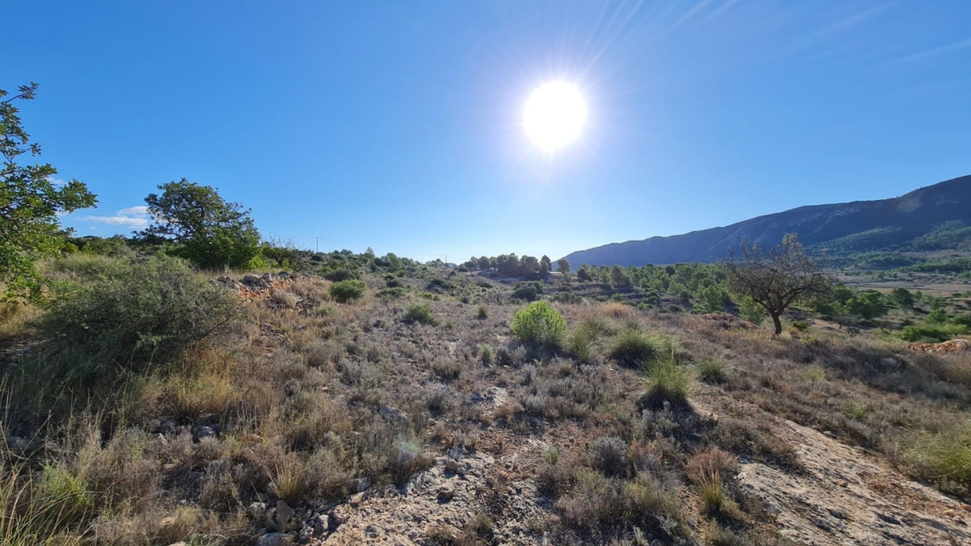 Wiederverkauf - Land - La Romana - La Romana Centro