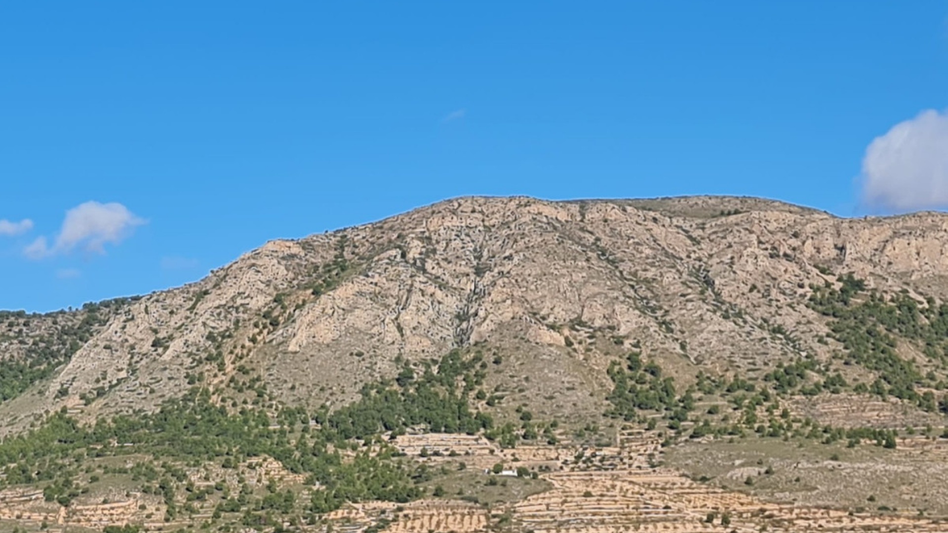 Wiederverkauf - Land - La Romana - La Romana Centro