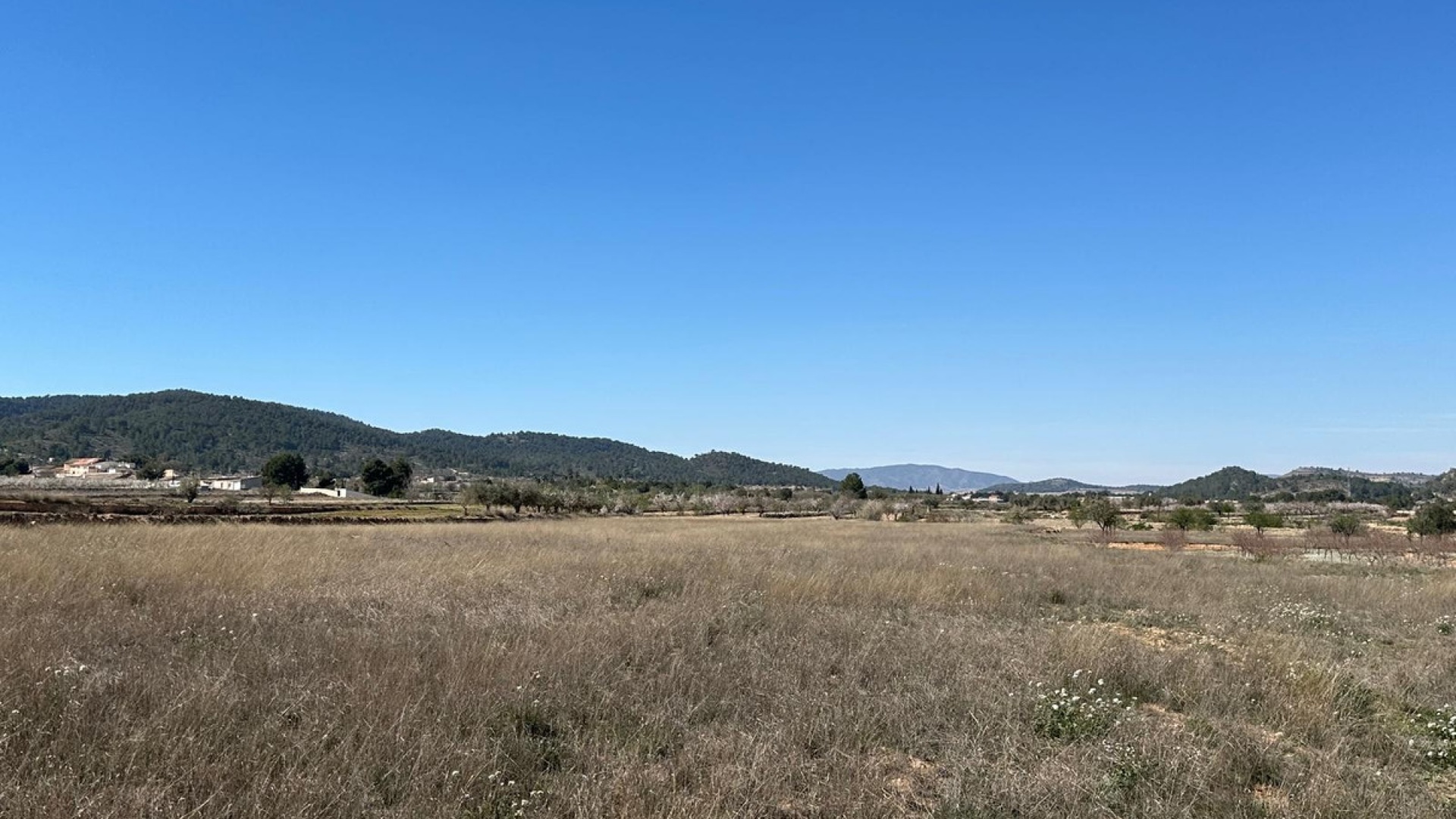 Wiederverkauf - Land - Monóvar - Monòver - Monóvar - Monòver Centro