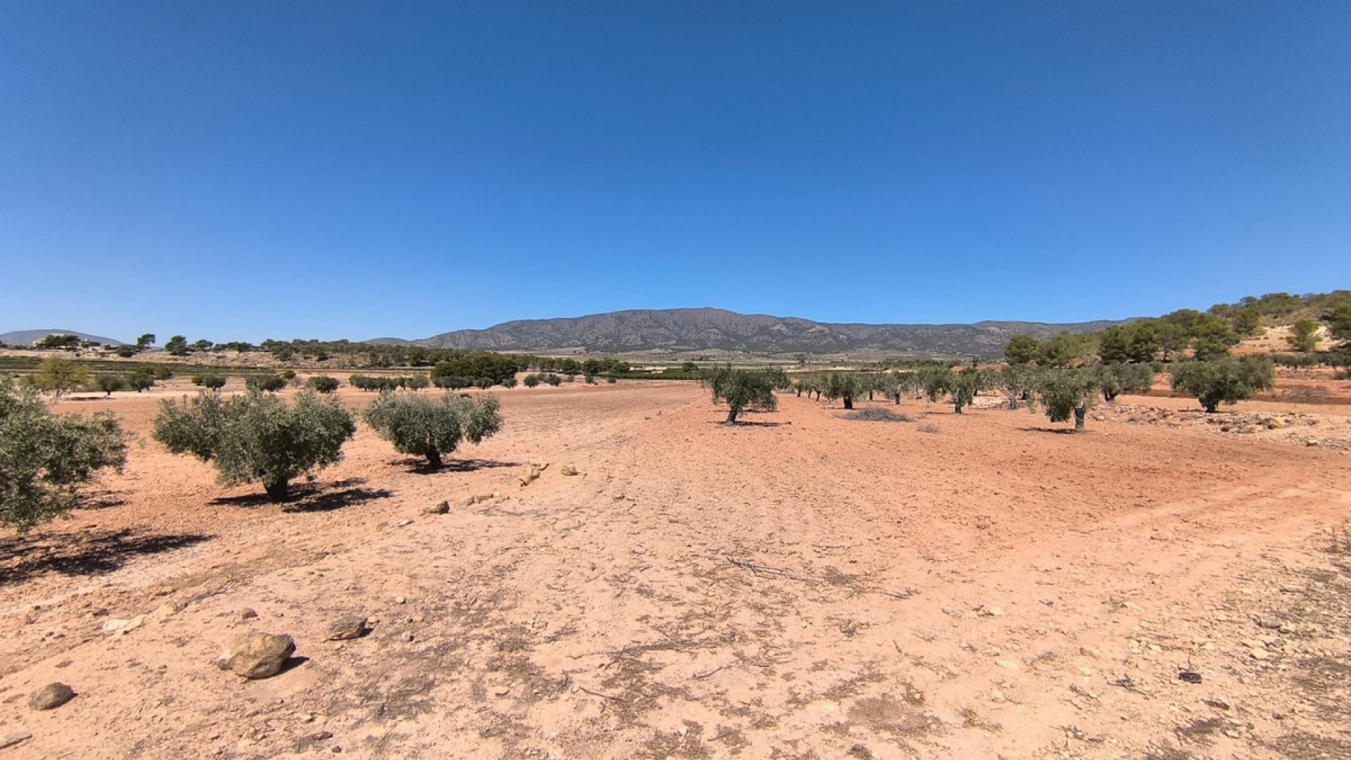 Wiederverkauf - Land - Monóvar - Monòver - Monóvar - Monòver Centro