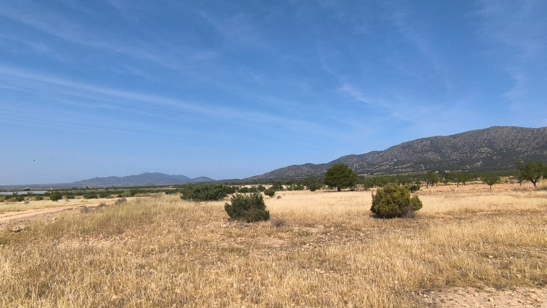 Wiederverkauf - Land - Monóvar - Monòver - Monóvar - Monòver Centro