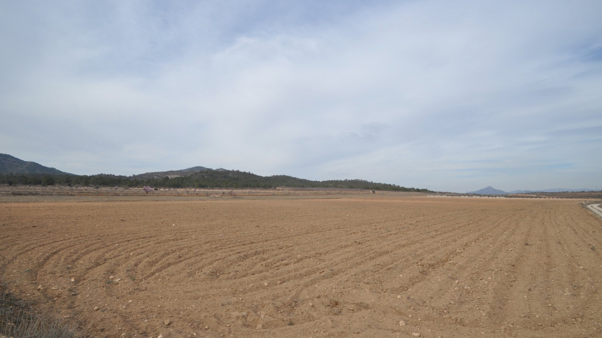 Wiederverkauf - Land - Monóvar - Monòver - Monóvar - Monòver Centro