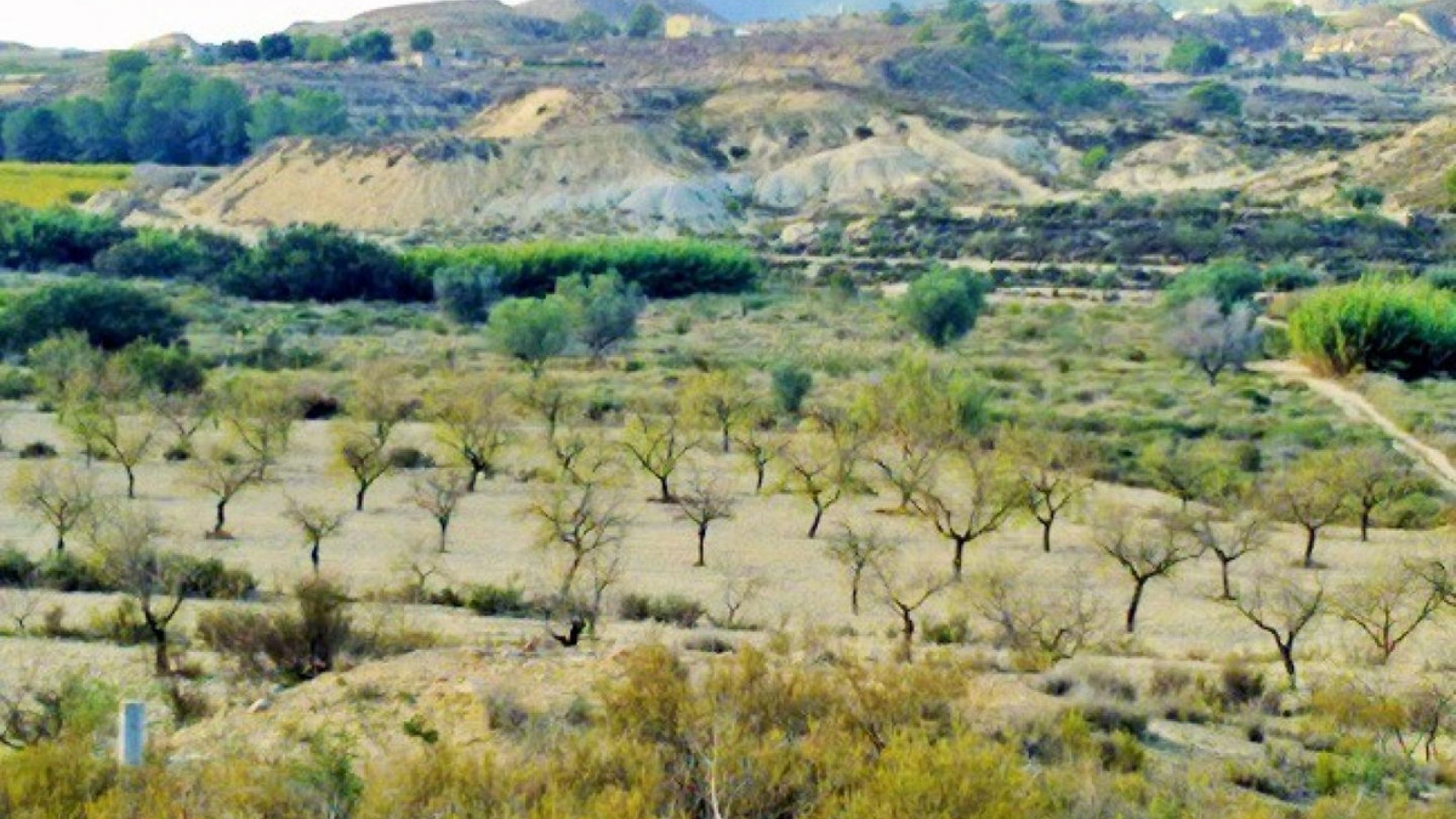 Wiederverkauf - Land - Orihuela - Torremendo