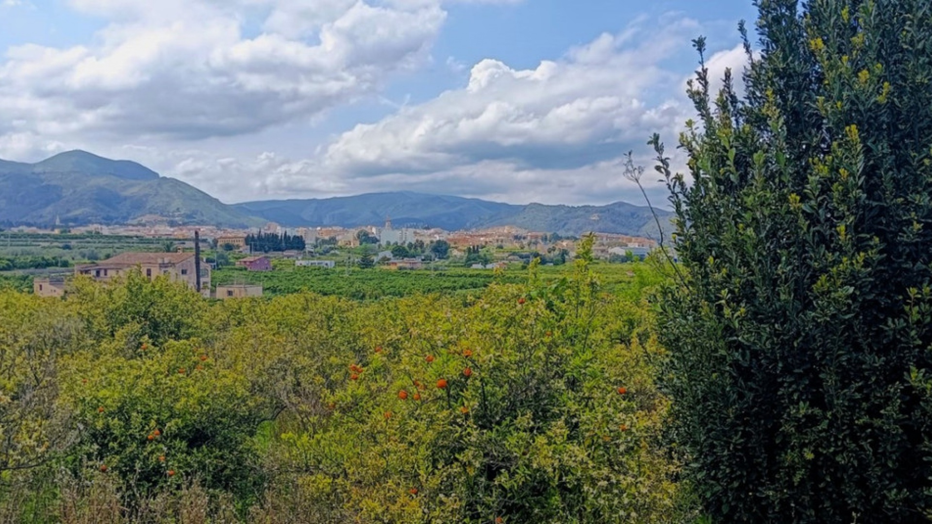 Wiederverkauf - Land - Pego - Pego Centro