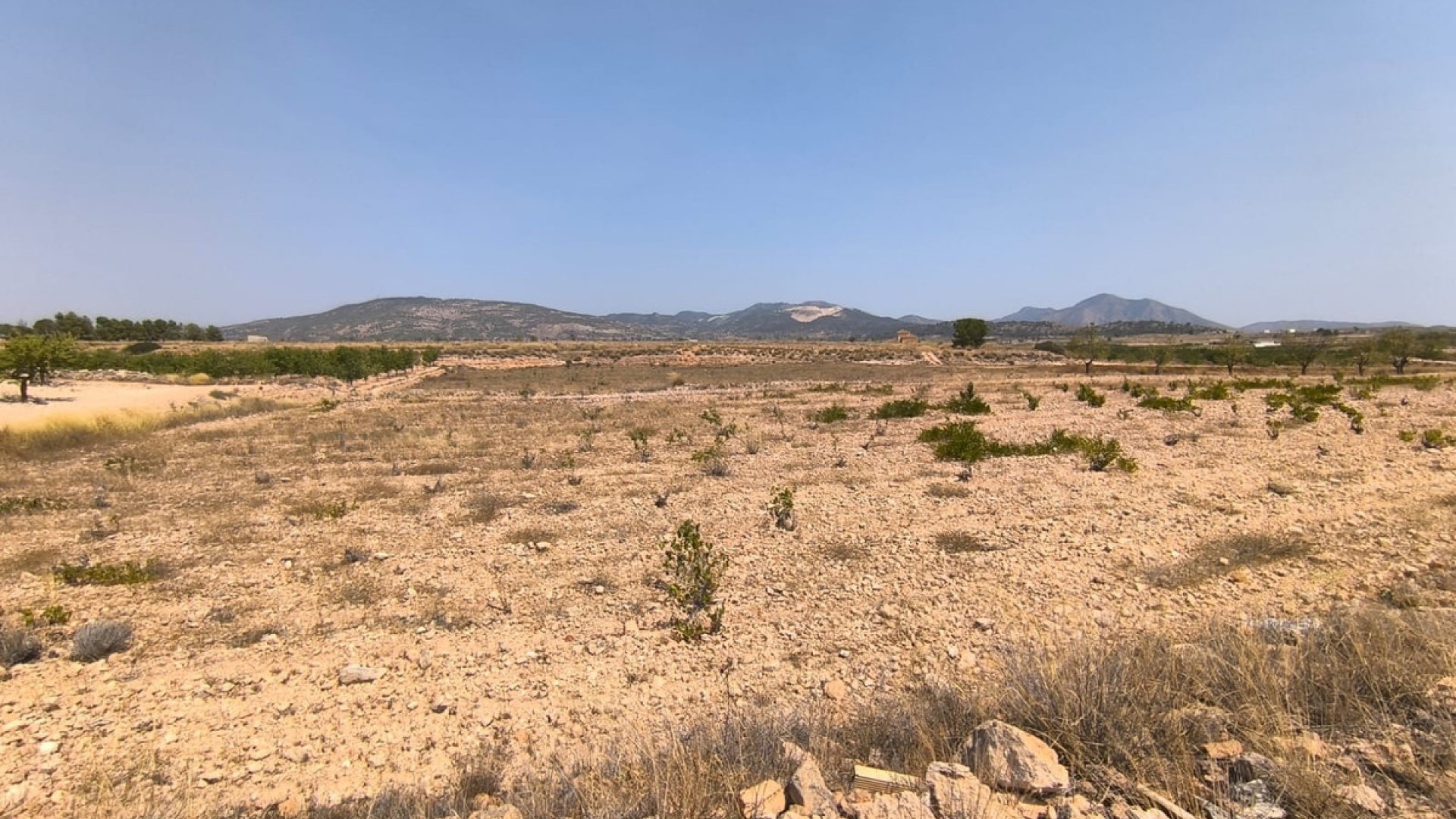 Wiederverkauf - Land - Pinoso - Pinoso Centro