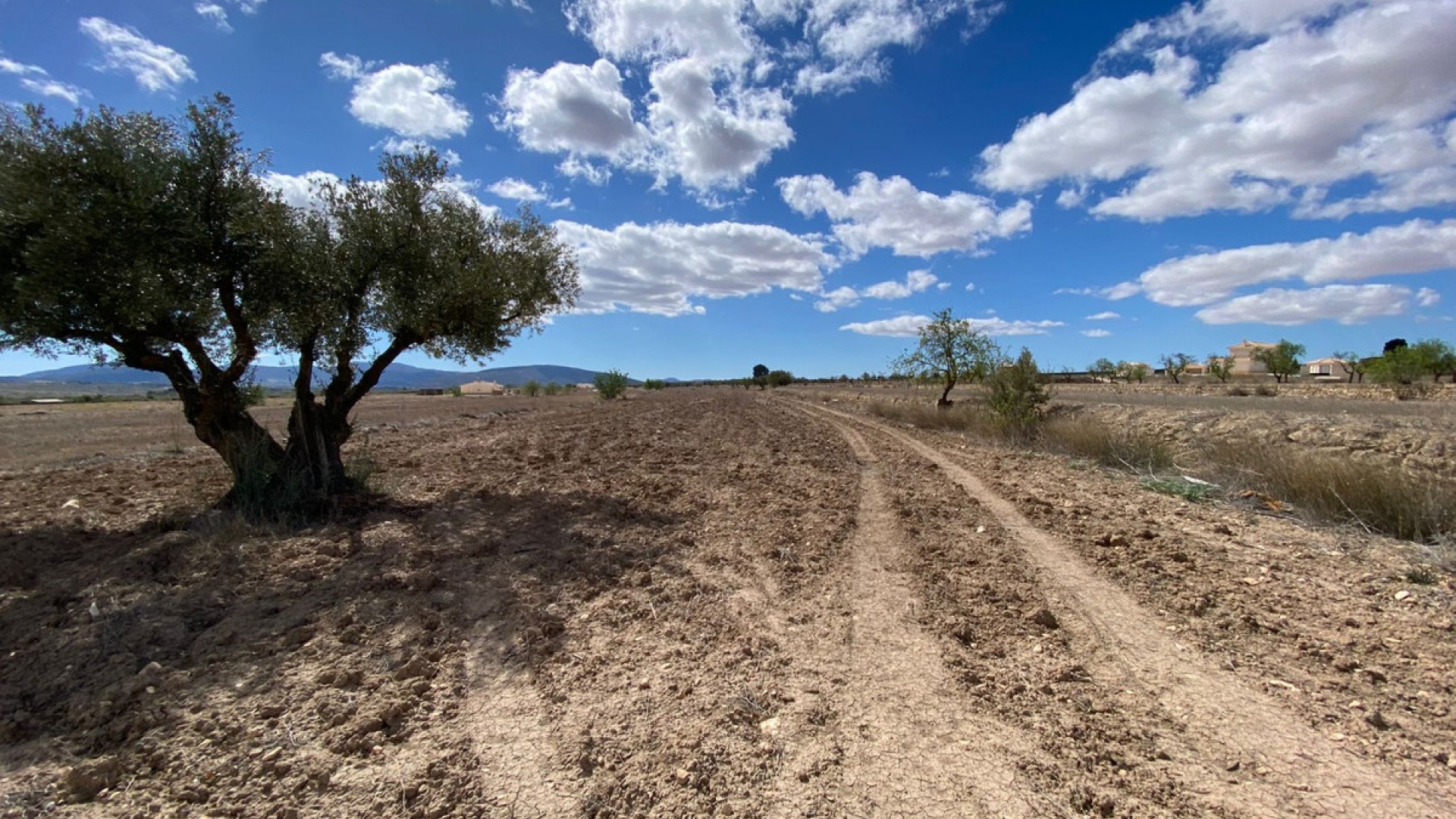 Wiederverkauf - Land - Pinoso - Pinoso Centro