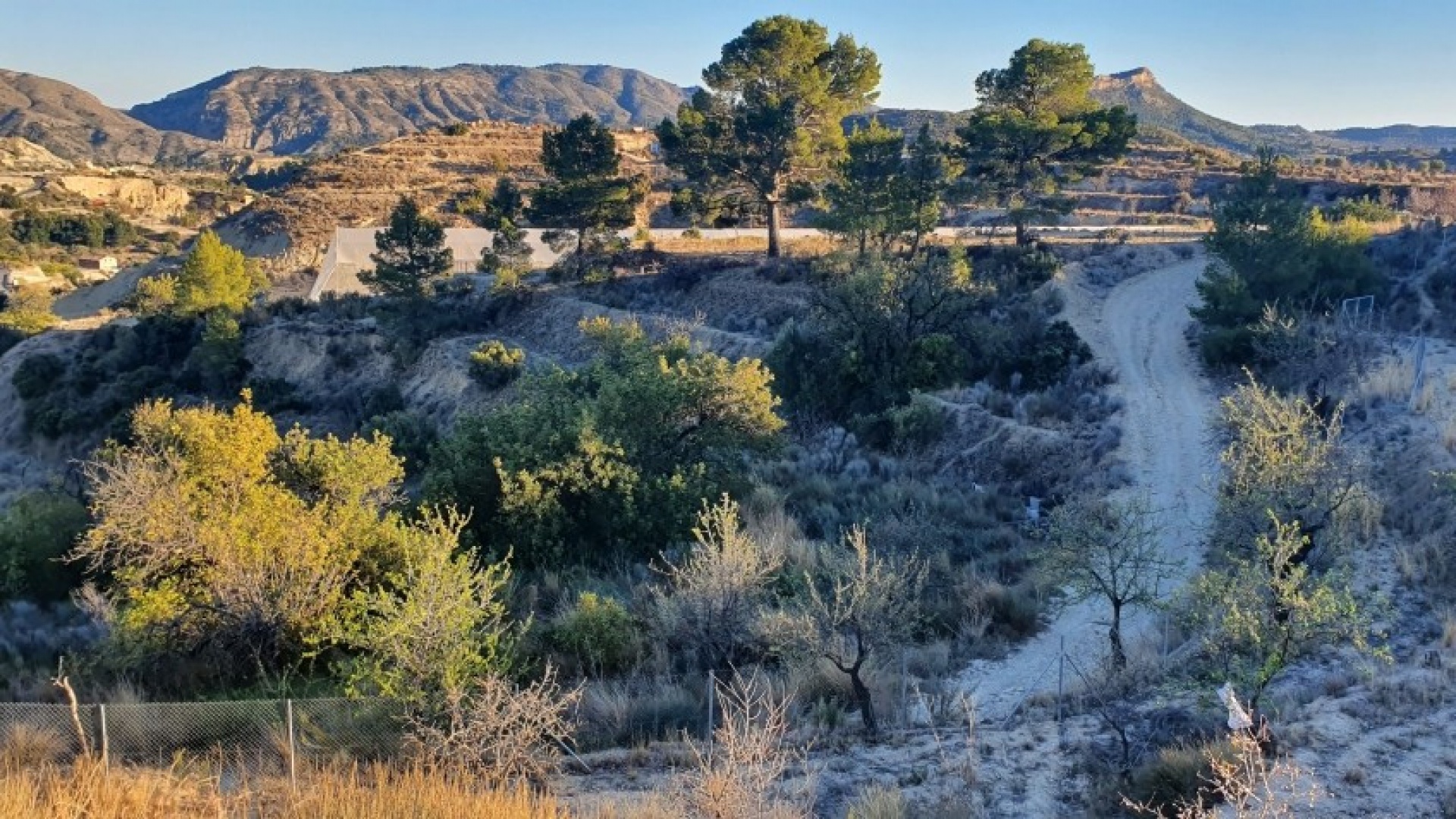 Wiederverkauf - Land - Relleu - Relleu Centro