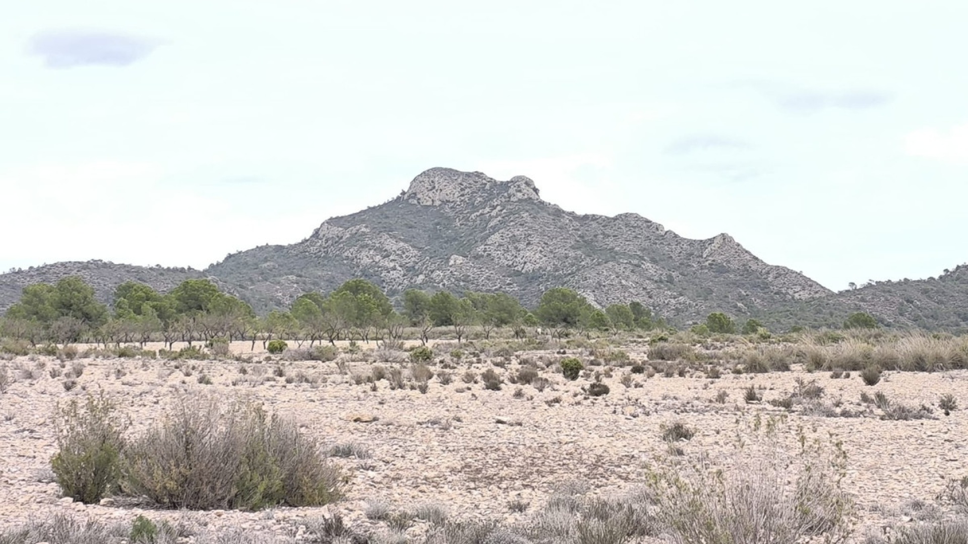 Wiederverkauf - Land - Salinas - Salinas Centro