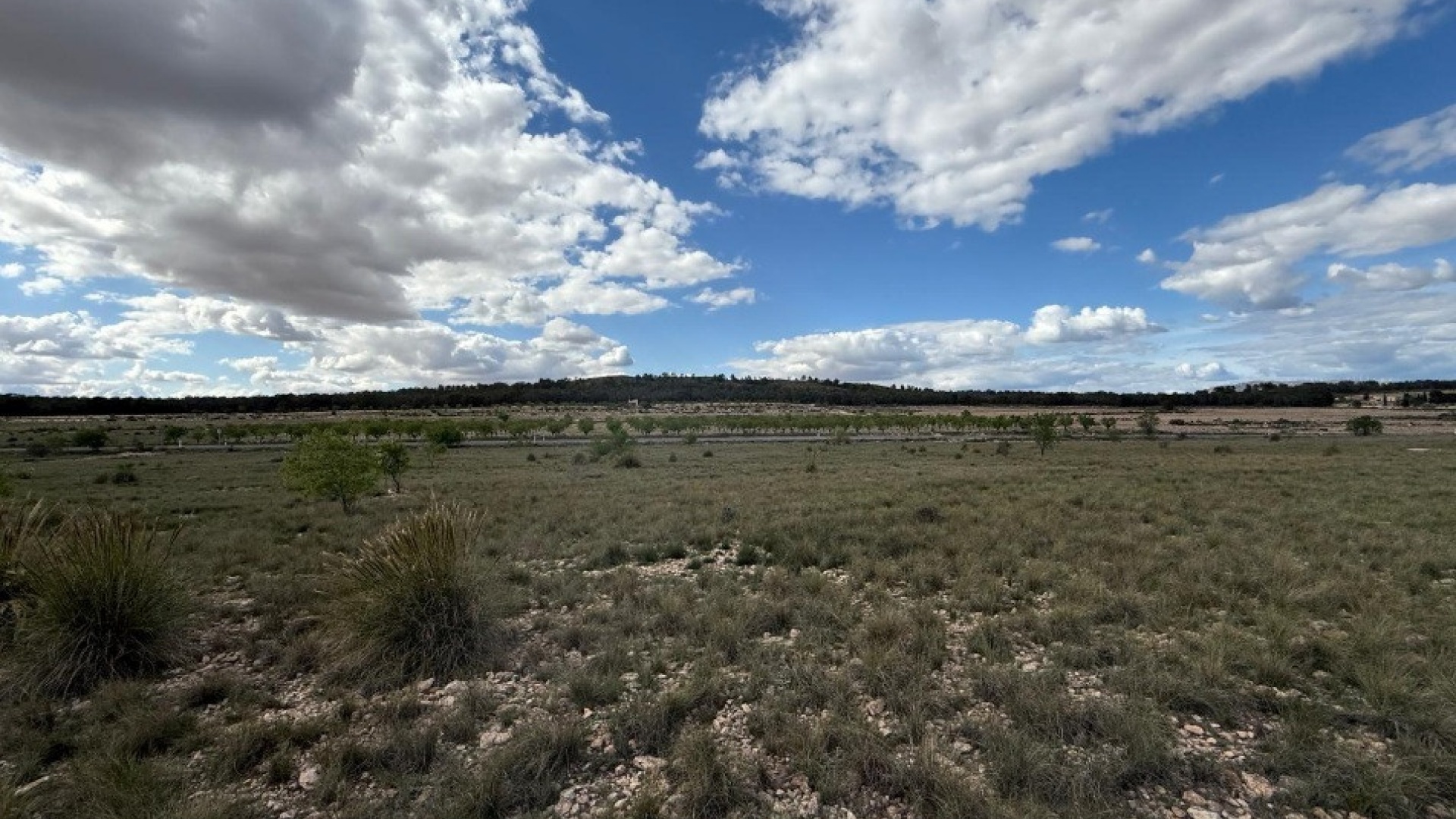 Wiederverkauf - Land - Yecla - Yecla Centro