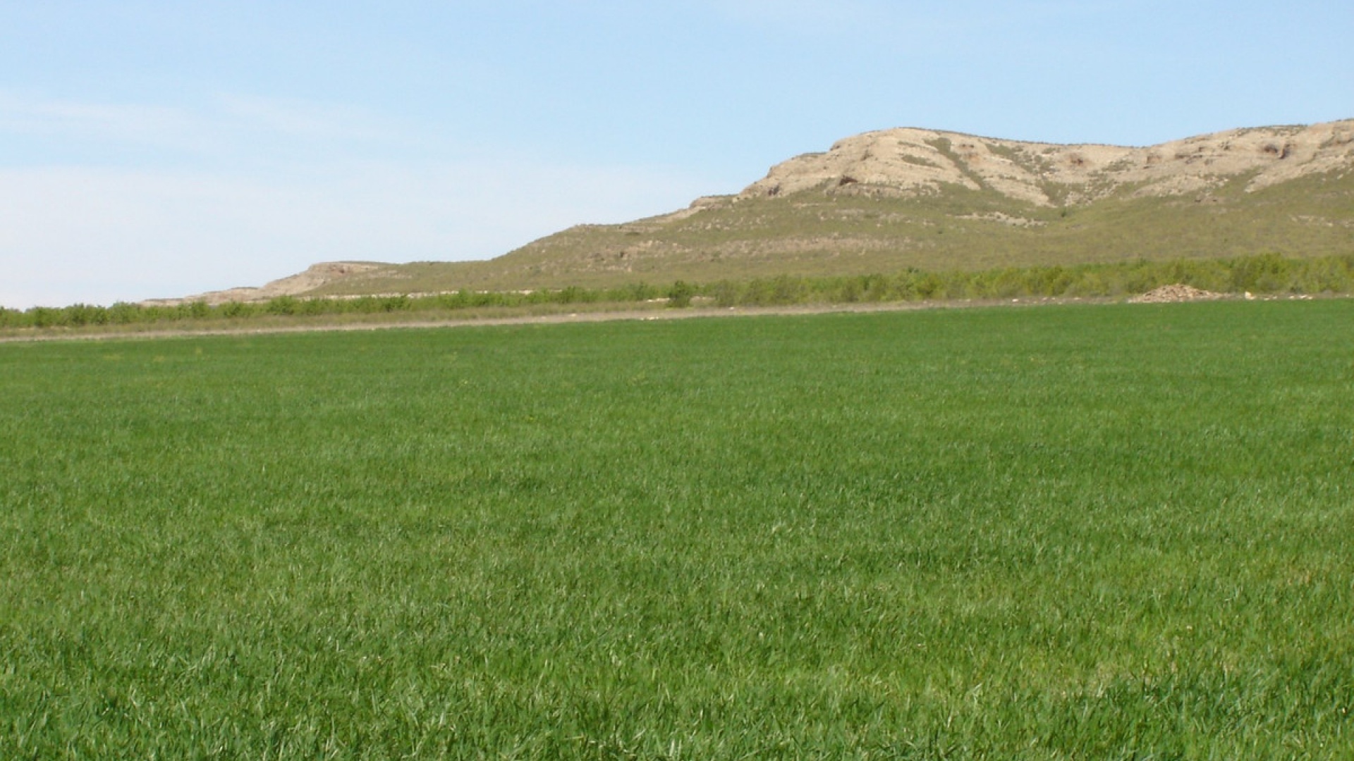 Wiederverkauf - Land - Yecla - Yecla Centro