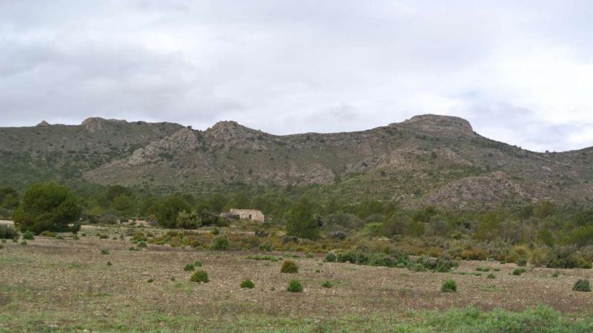 Wiederverkauf - Land - Yecla - Yecla Centro