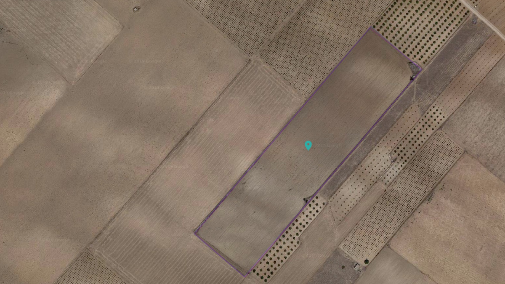 Wiederverkauf - Land - Yecla - Yecla Centro