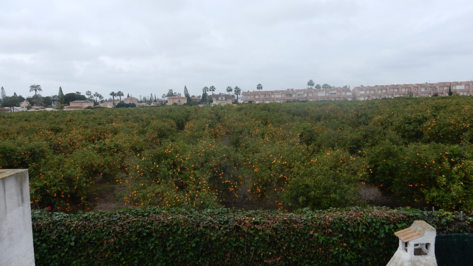 Wiederverkauf - Stadthaus - Ciudad Quesada - Pueblo Bravo