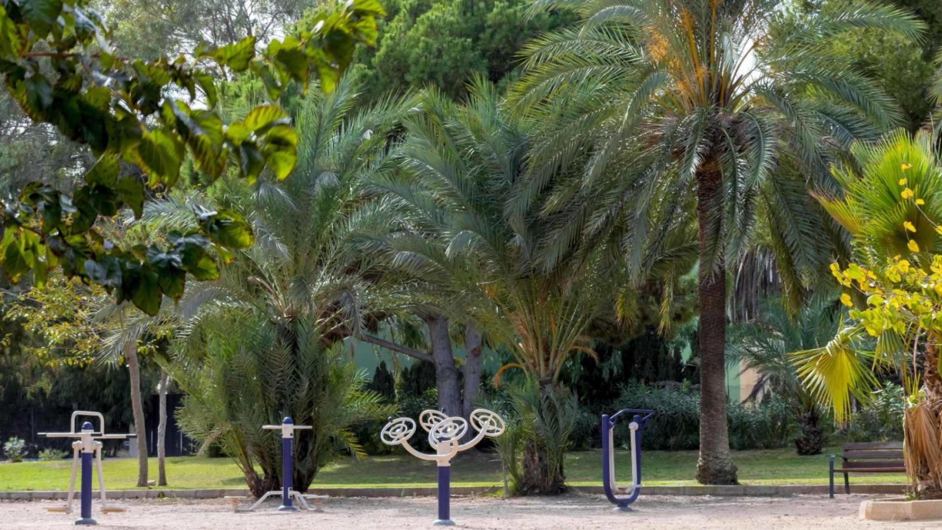 Wiederverkauf - Stadthaus - La Zenia - beachside la zenia