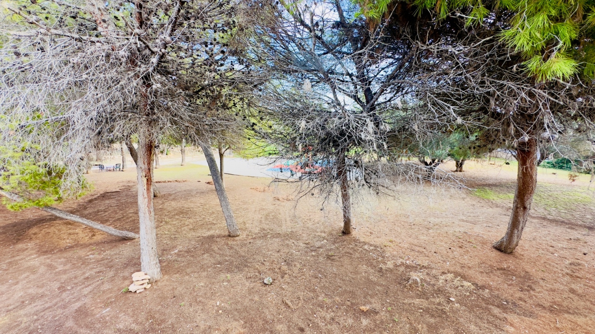 Wiederverkauf - Stadthaus - Los Altos