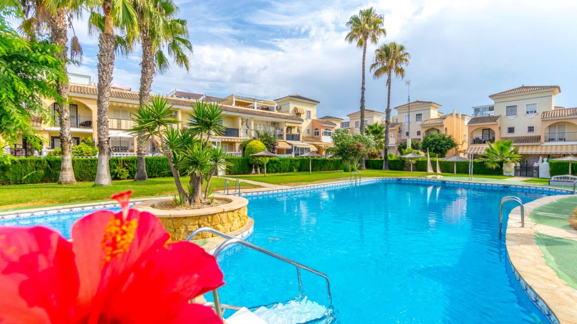 Wiederverkauf - Stadthaus - Playa Flamenca - Res Laguna