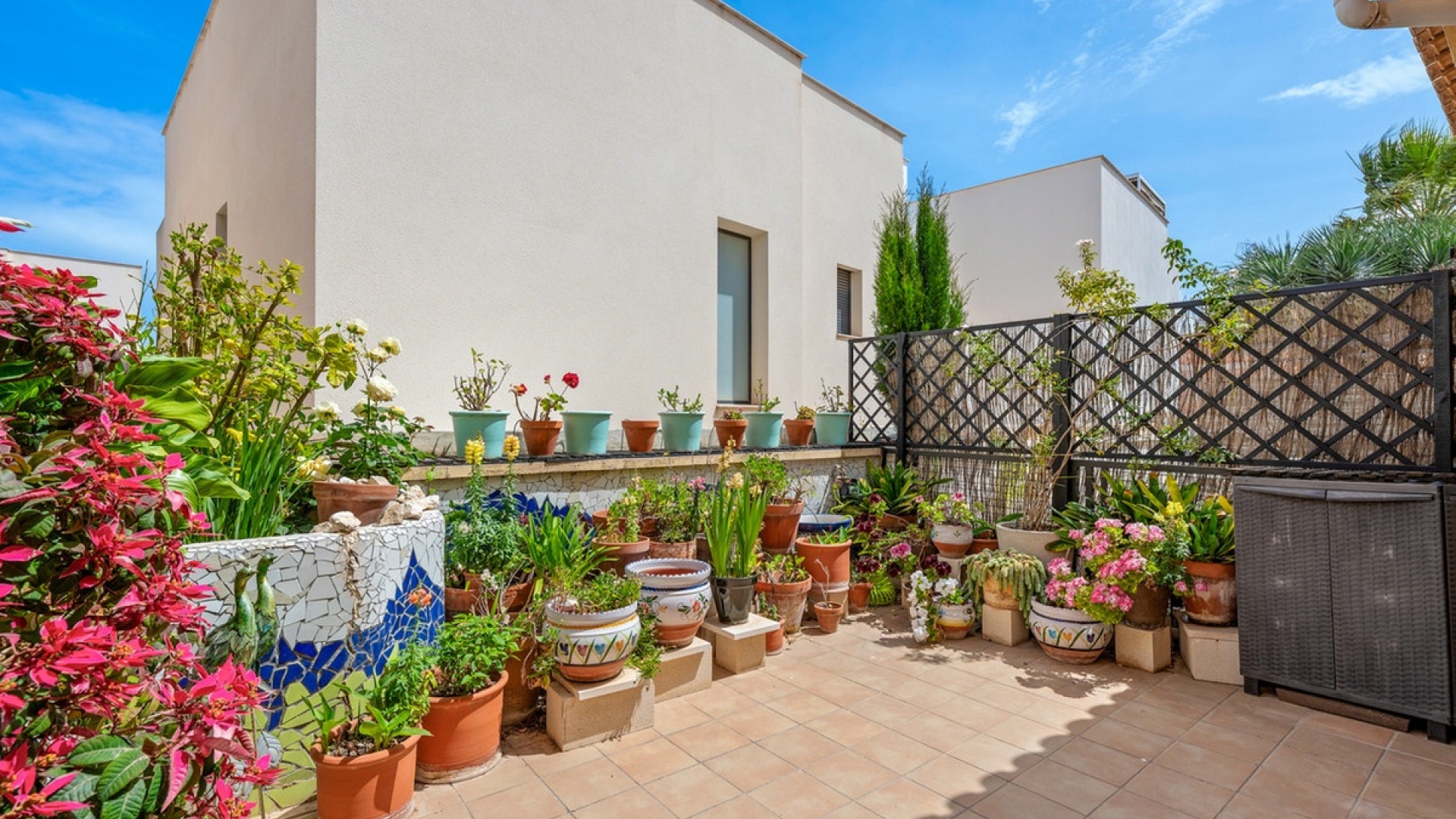 Wiederverkauf - Stadthaus - San Miguel de Salinas - San Miguel de Salinas Centro