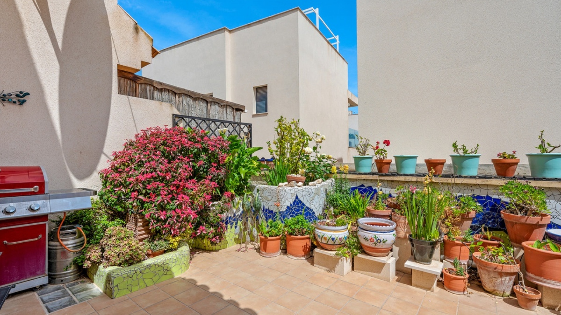 Wiederverkauf - Stadthaus - San Miguel de Salinas - San Miguel de Salinas Centro
